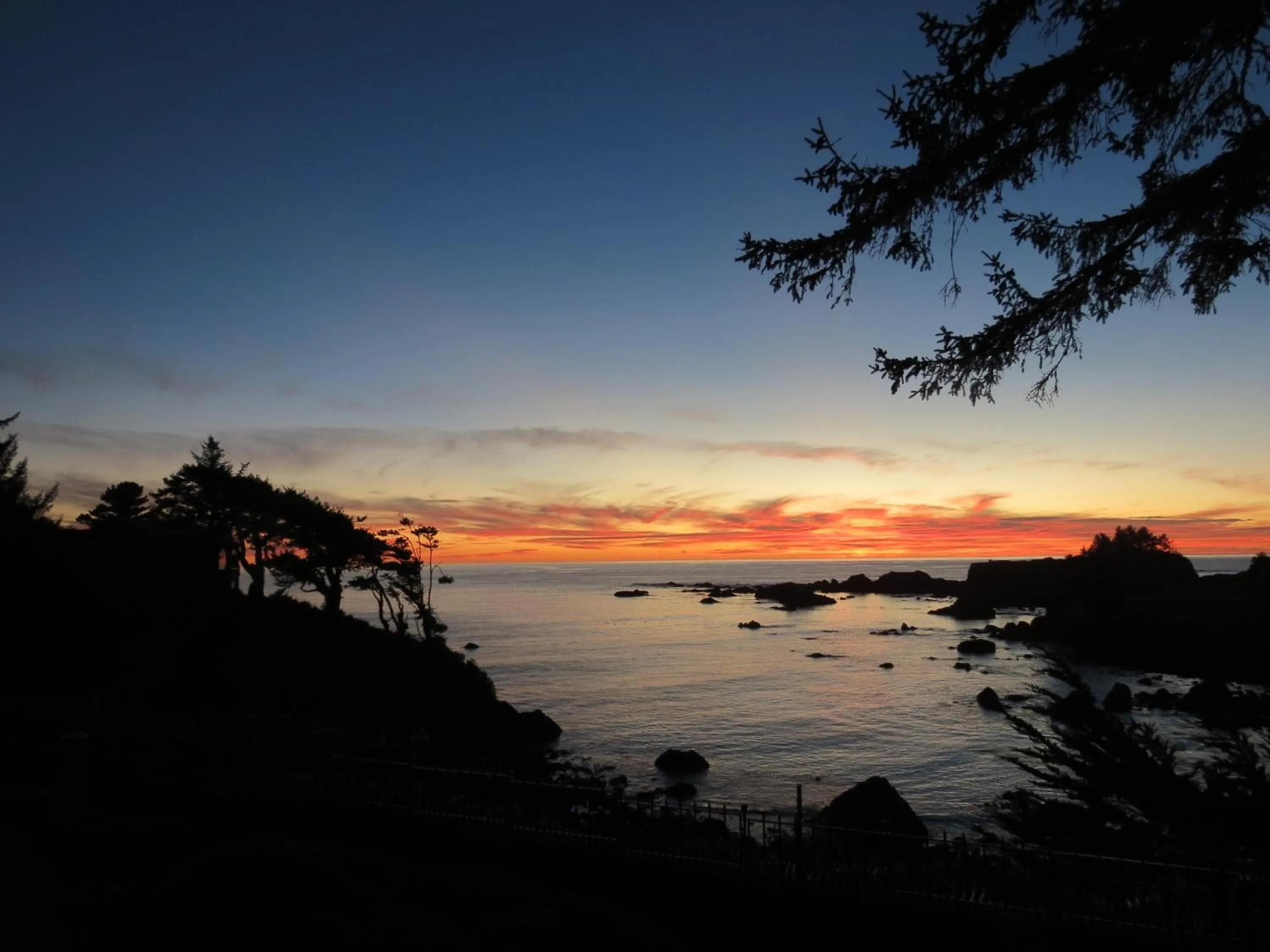 Summer in Tanbark Shores Guest Suite