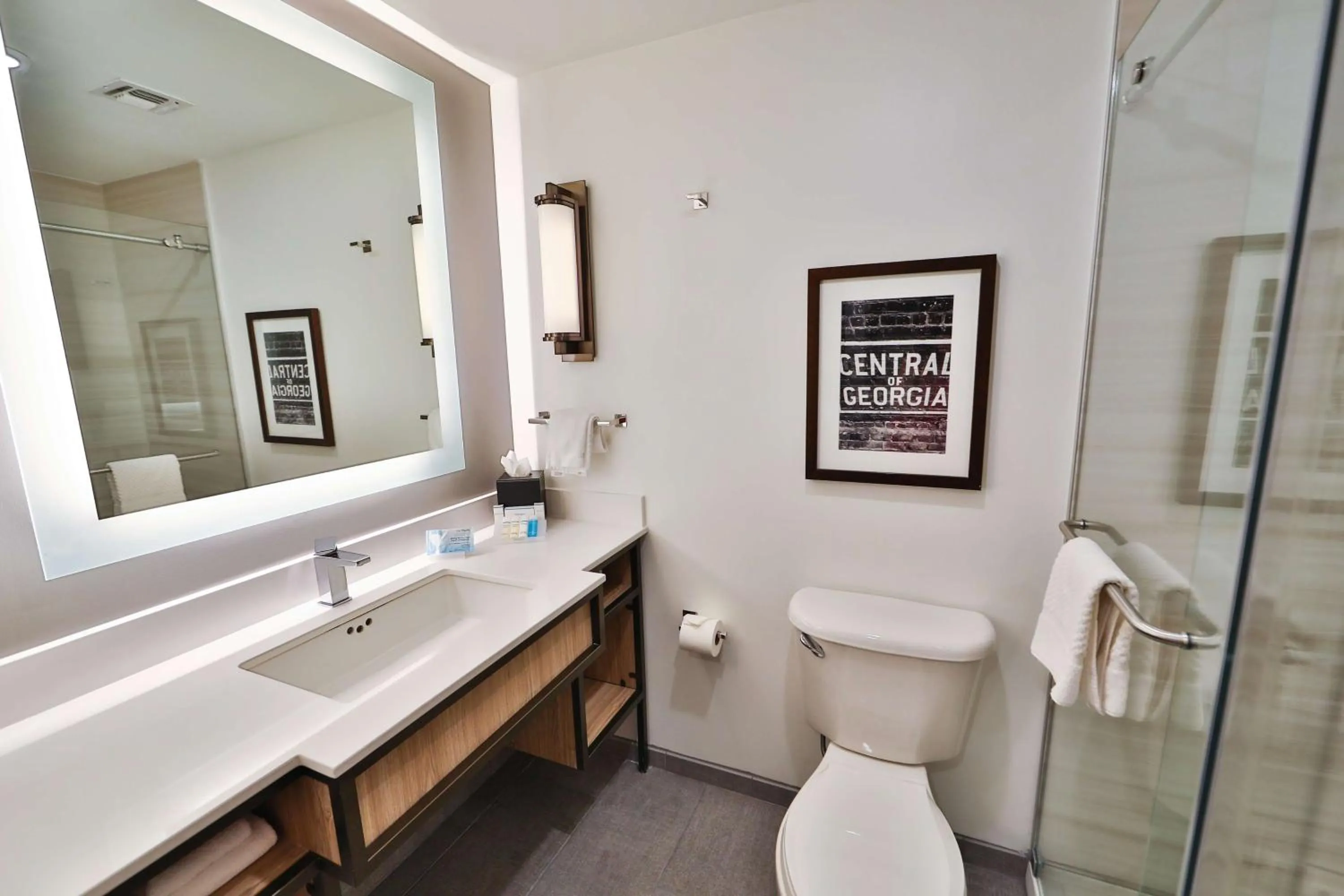 Bathroom in Hilton Garden Inn Savannah Historic District