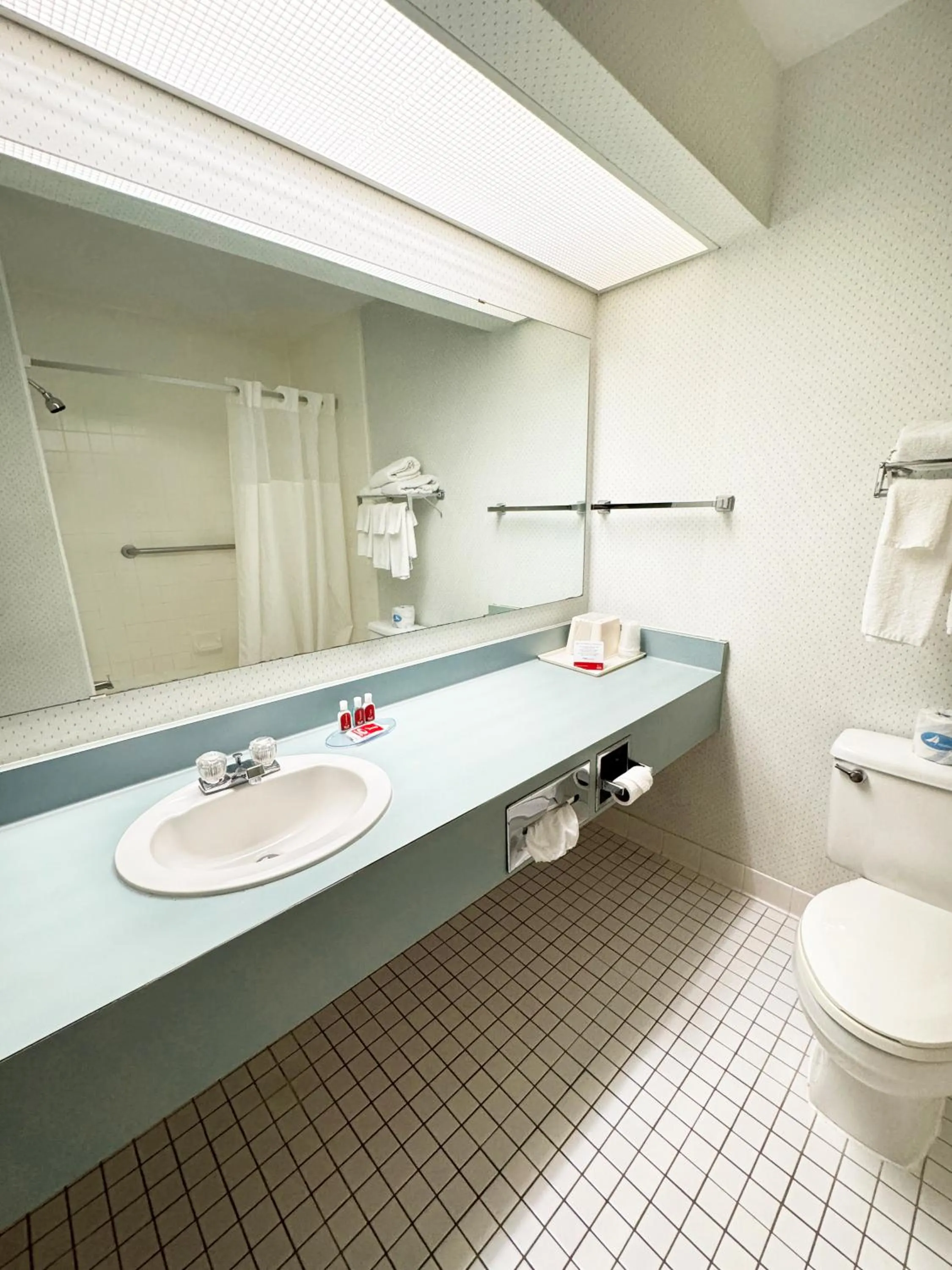 Bathroom in Econo Lodge Wausau - Rothschild