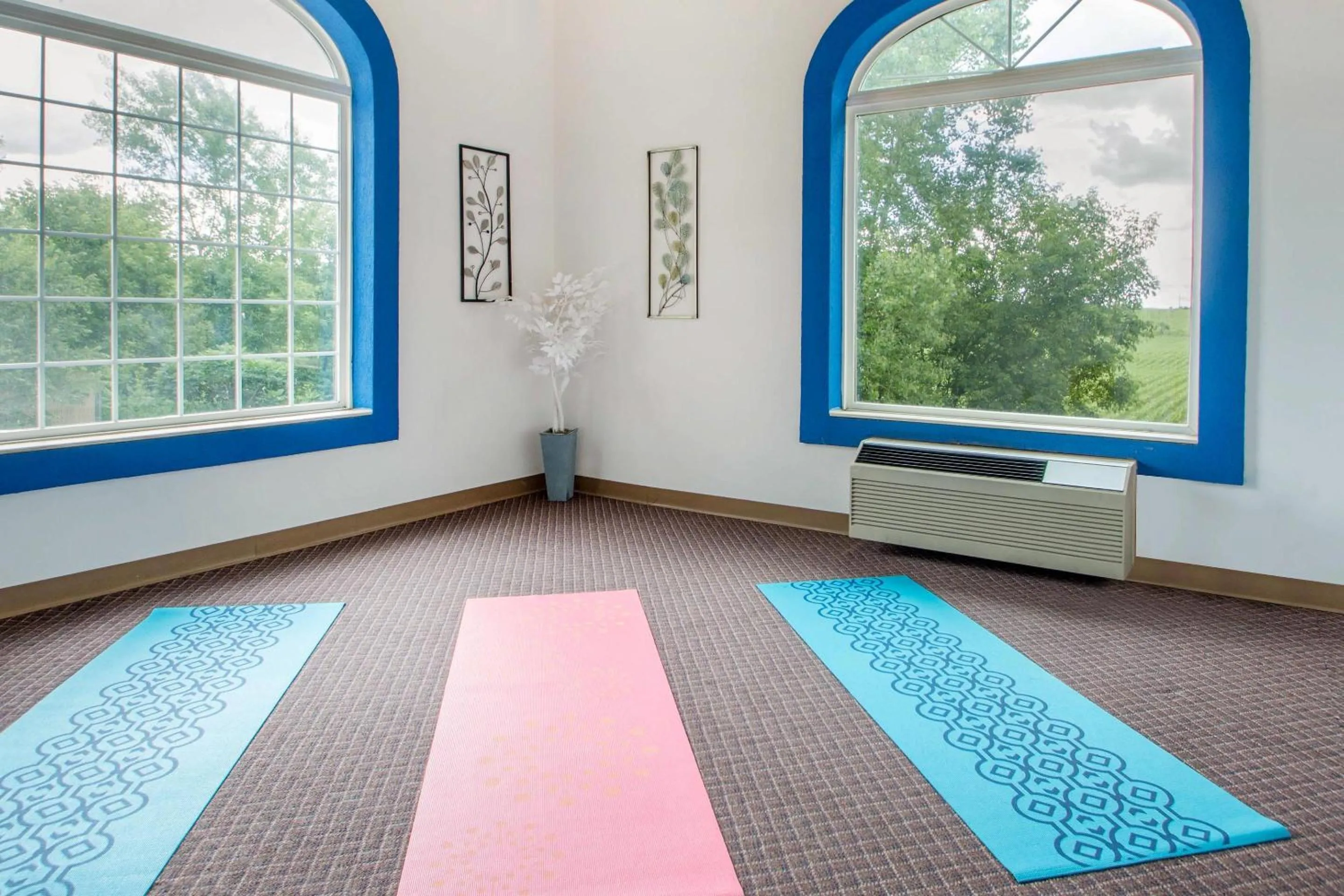 Fitness centre/facilities in Comfort Suites Wisconsin Dells Area