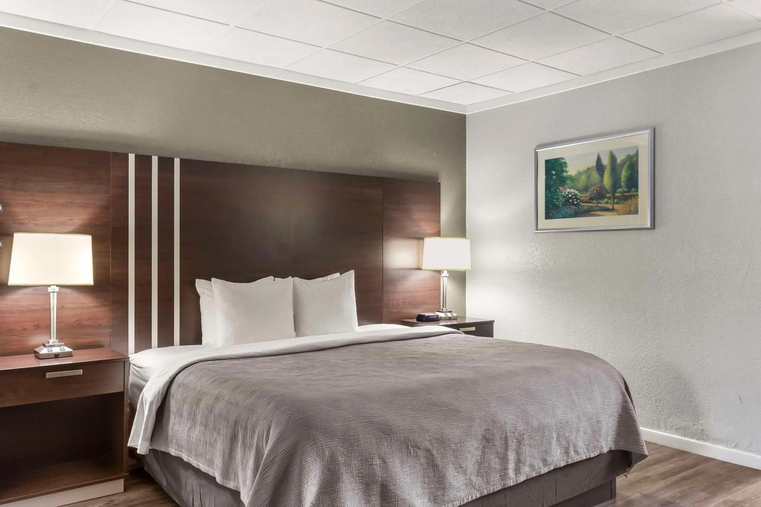 Bedroom, Bed in Quality Inn & Suites Green Bay Downtown