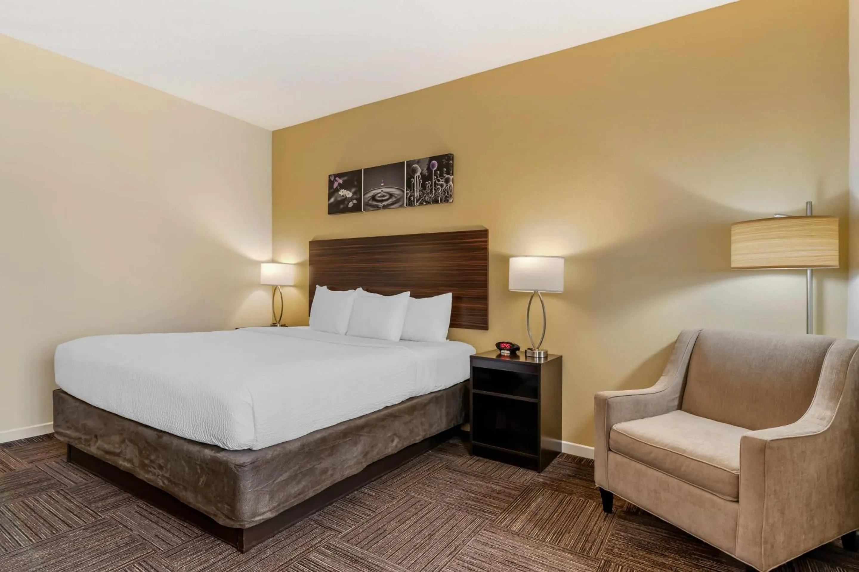 Bedroom, Bed in Sleep Inn & Suites Wisconsin Rapids