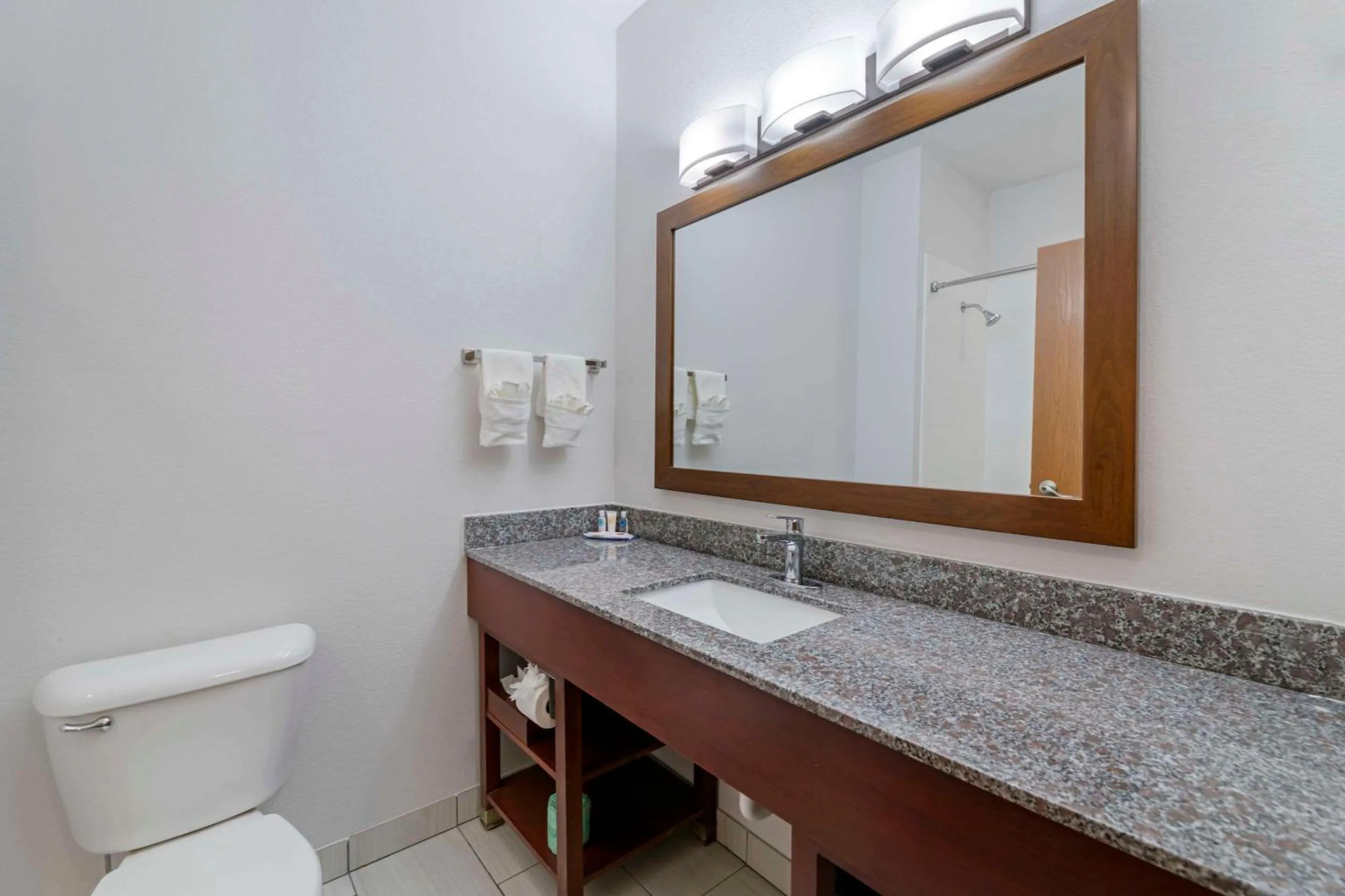 Bathroom in Comfort Suites Lake Geneva East