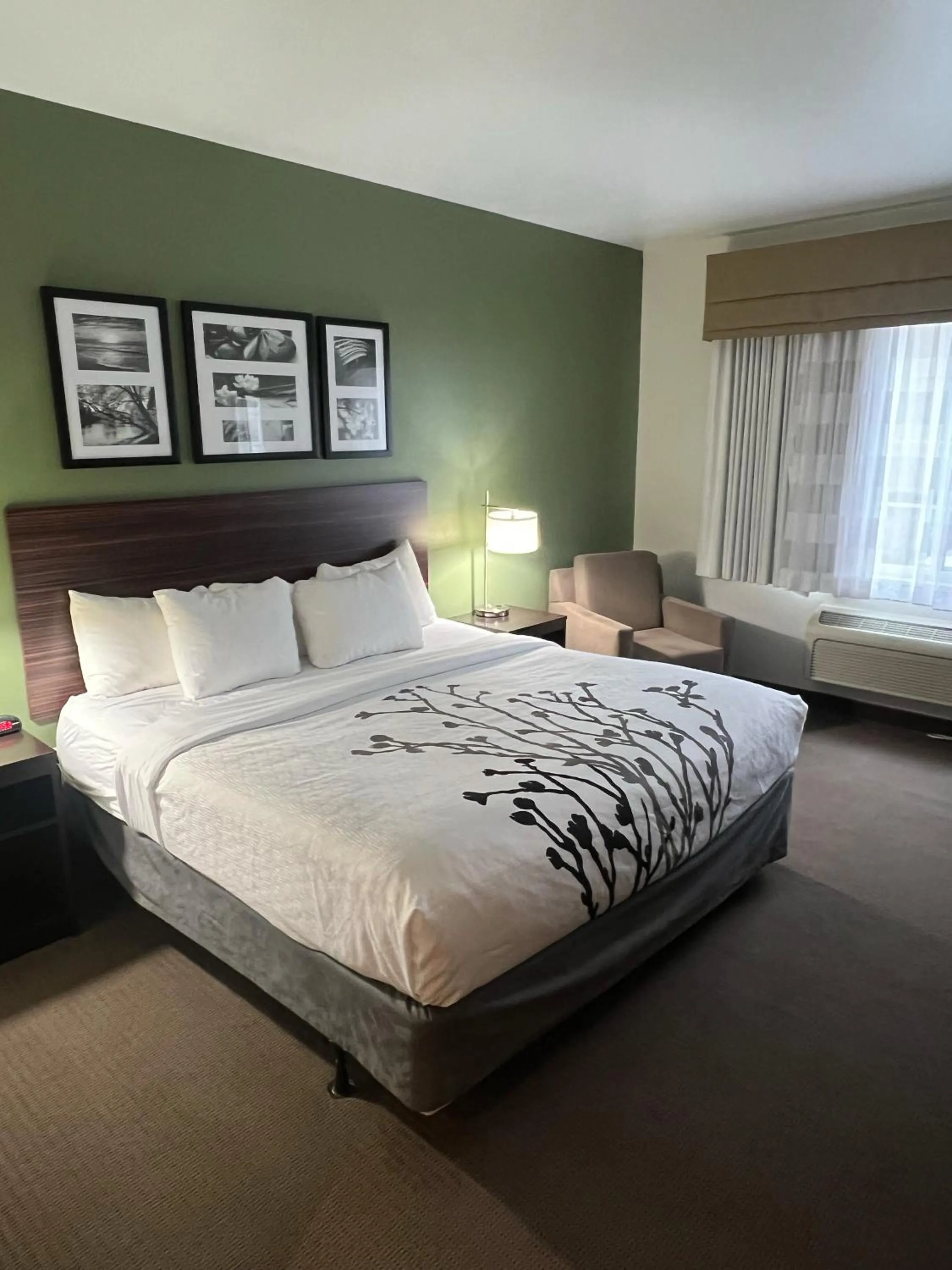 Bed in Sleep Inn & Suites Conference Center Eau Claire North