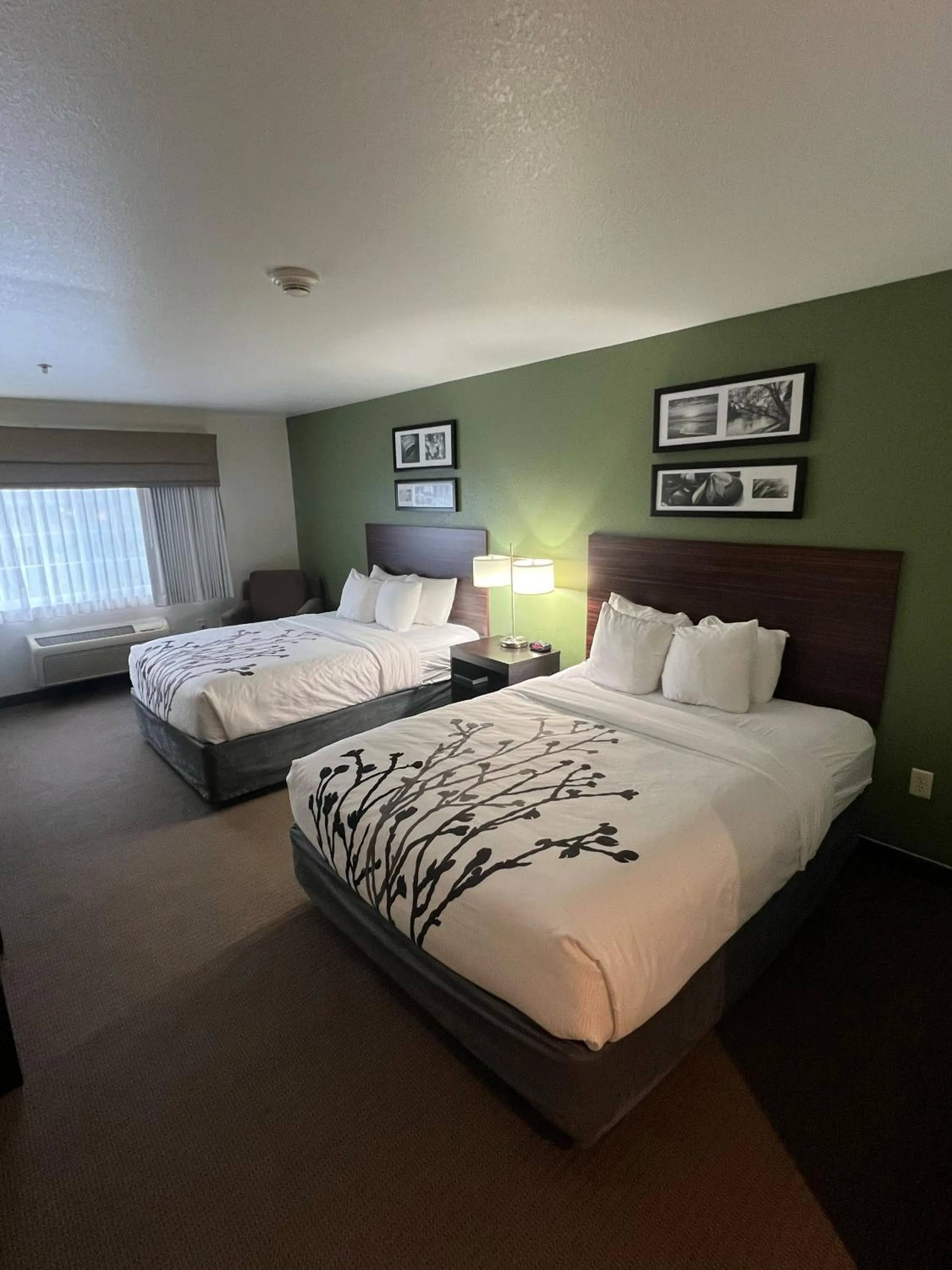 Bed in Sleep Inn & Suites Conference Center Eau Claire North