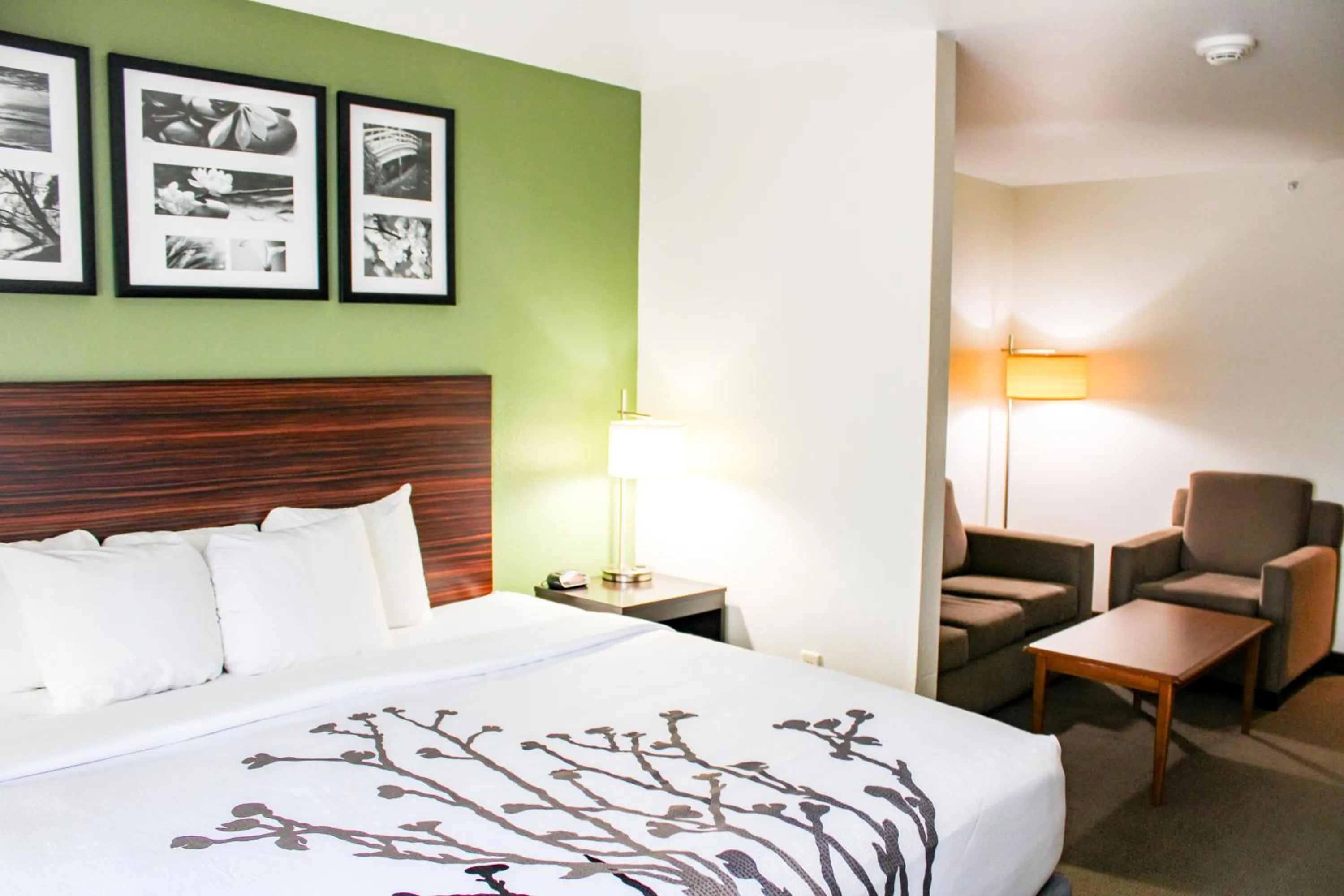 Bed in Sleep Inn & Suites Conference Center Eau Claire North