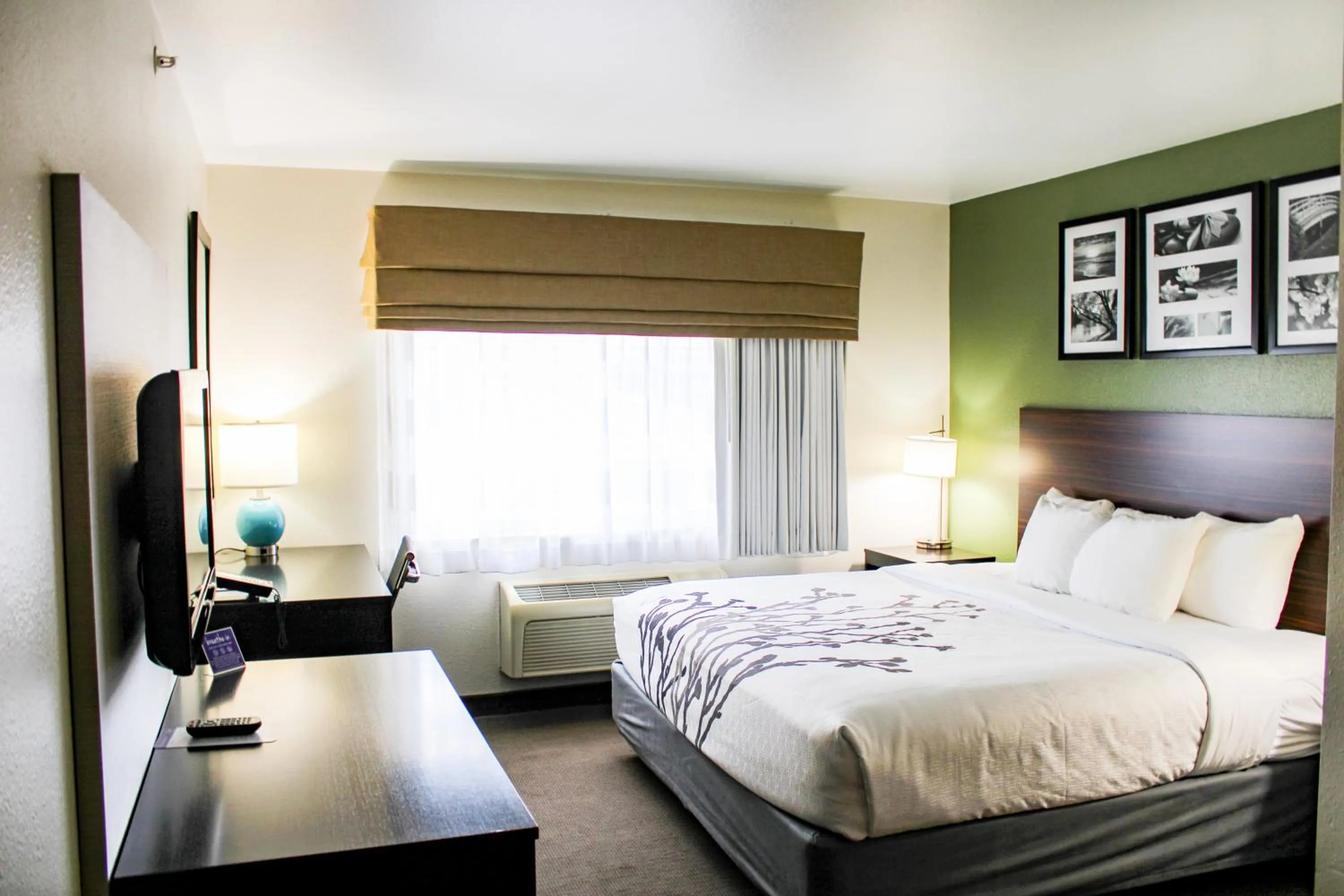 Bed in Sleep Inn & Suites Conference Center Eau Claire North