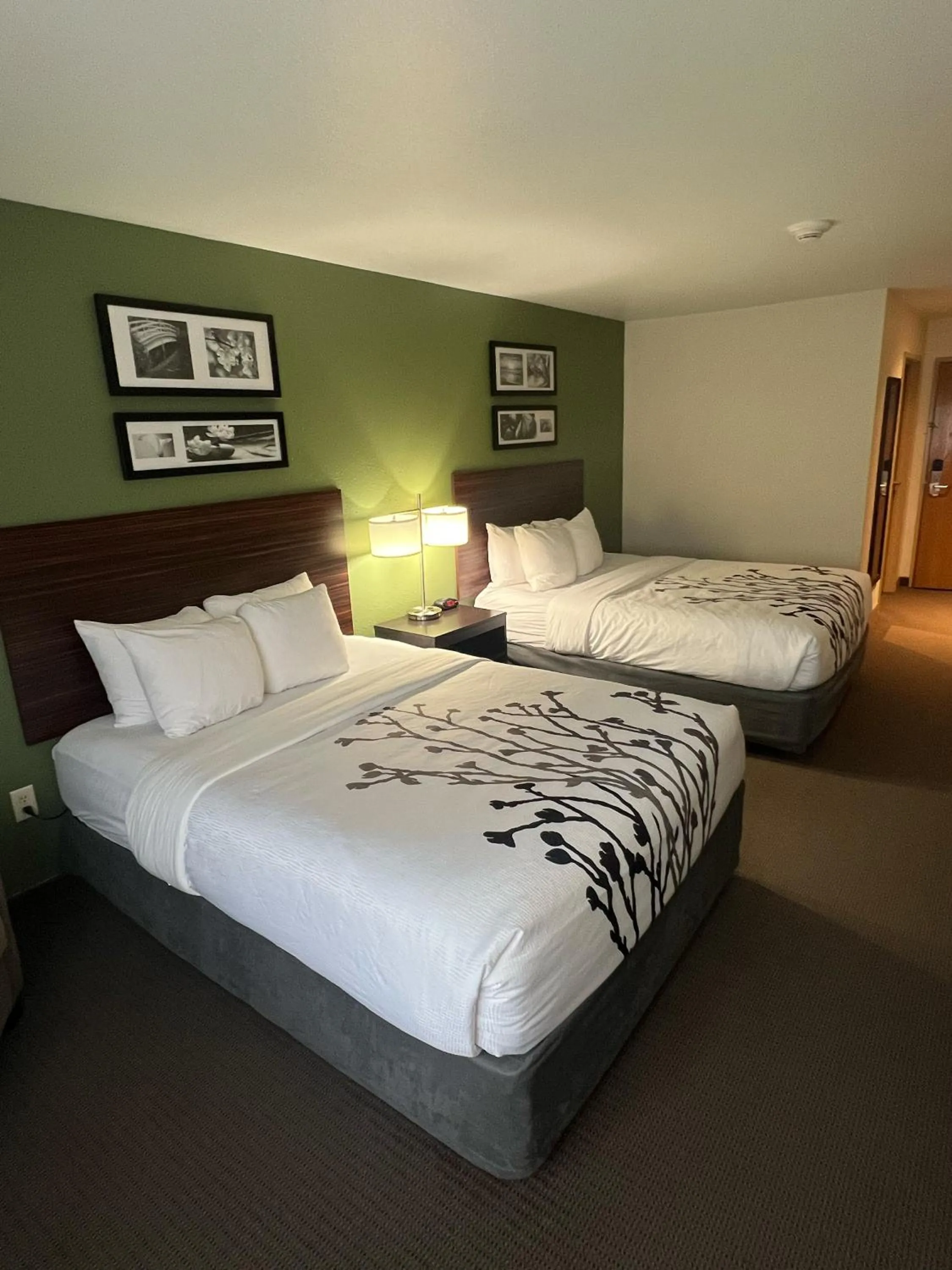 Bed in Sleep Inn & Suites Conference Center Eau Claire North