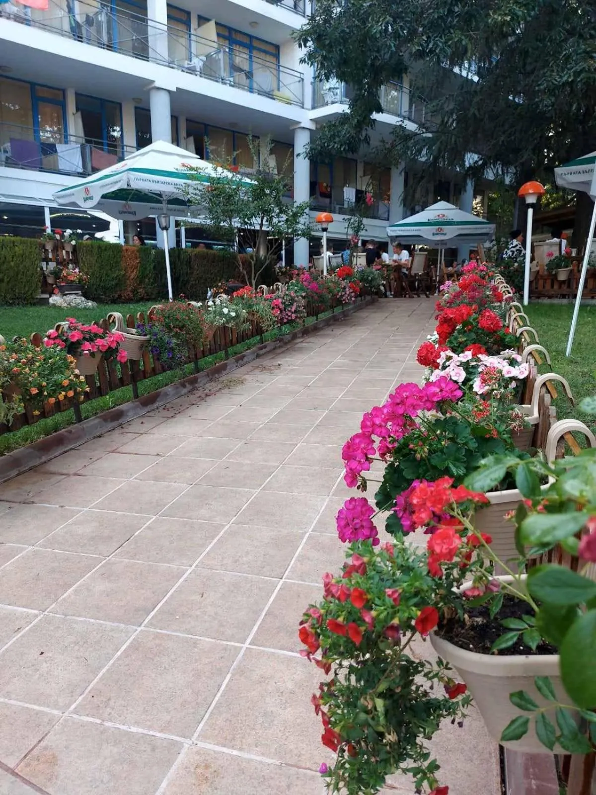 Garden view in Park Hotel Perla