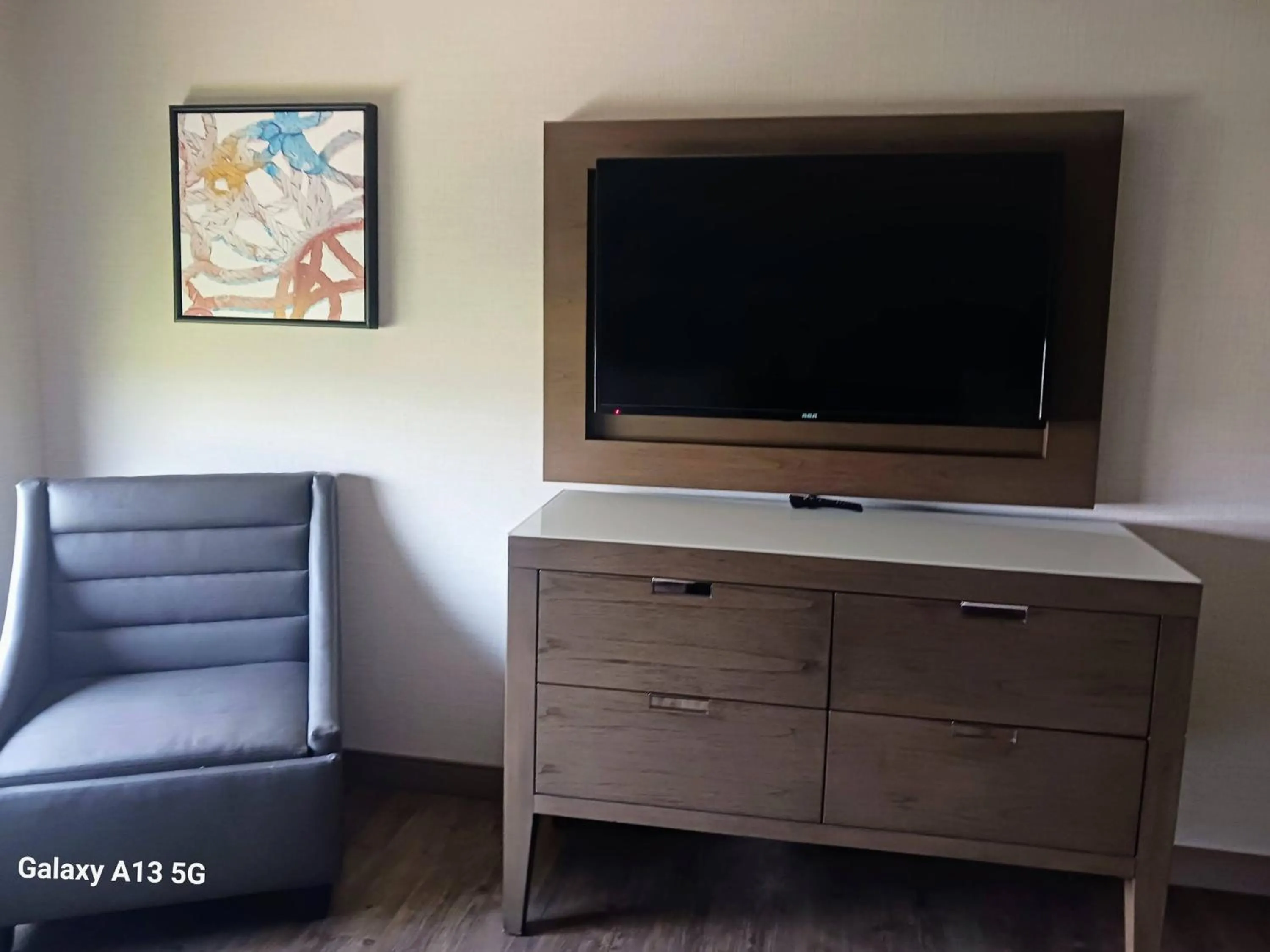 TV and multimedia in Cambria Hotel Madison East