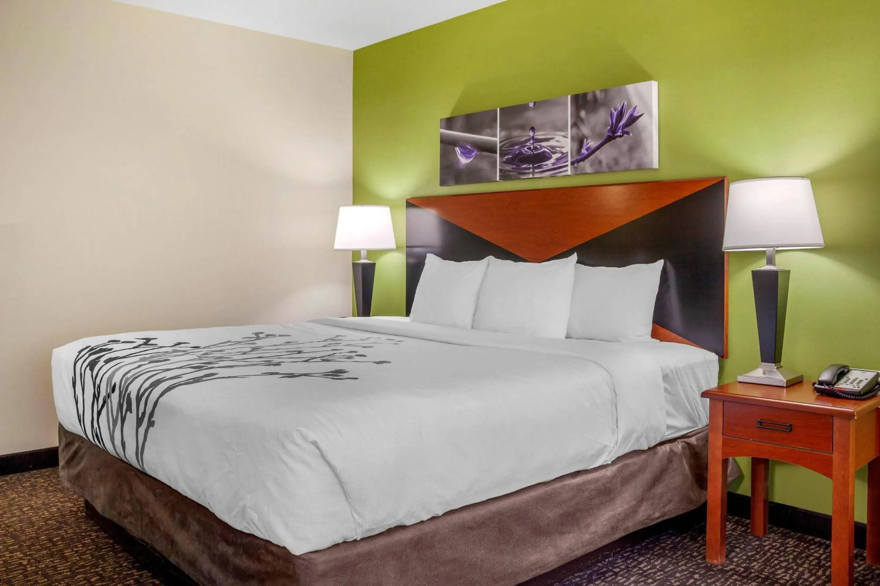Bedroom, Bed in Sleep Inn & Suites Milwaukee Airport