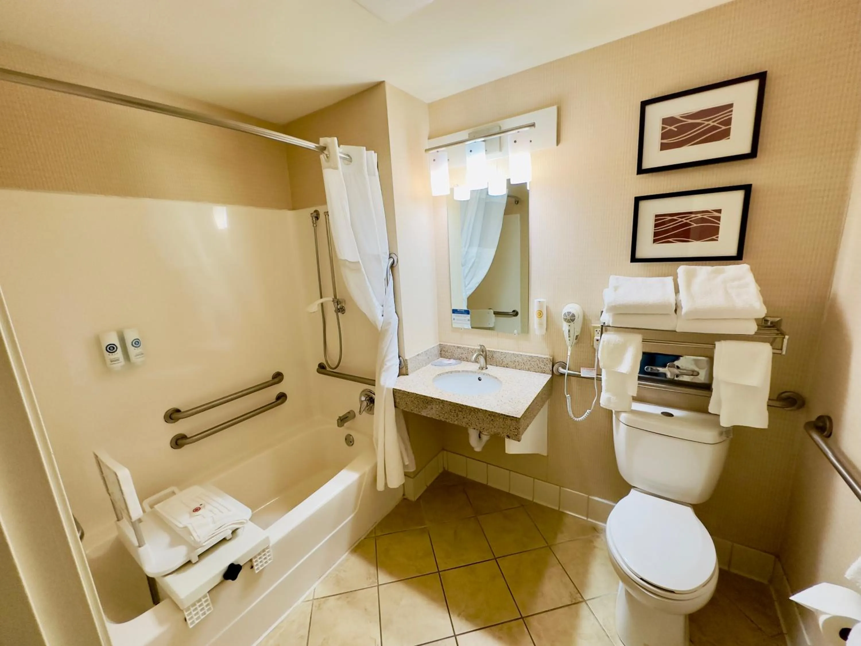 Bathroom in Comfort Inn & Suites Black River Falls I-94