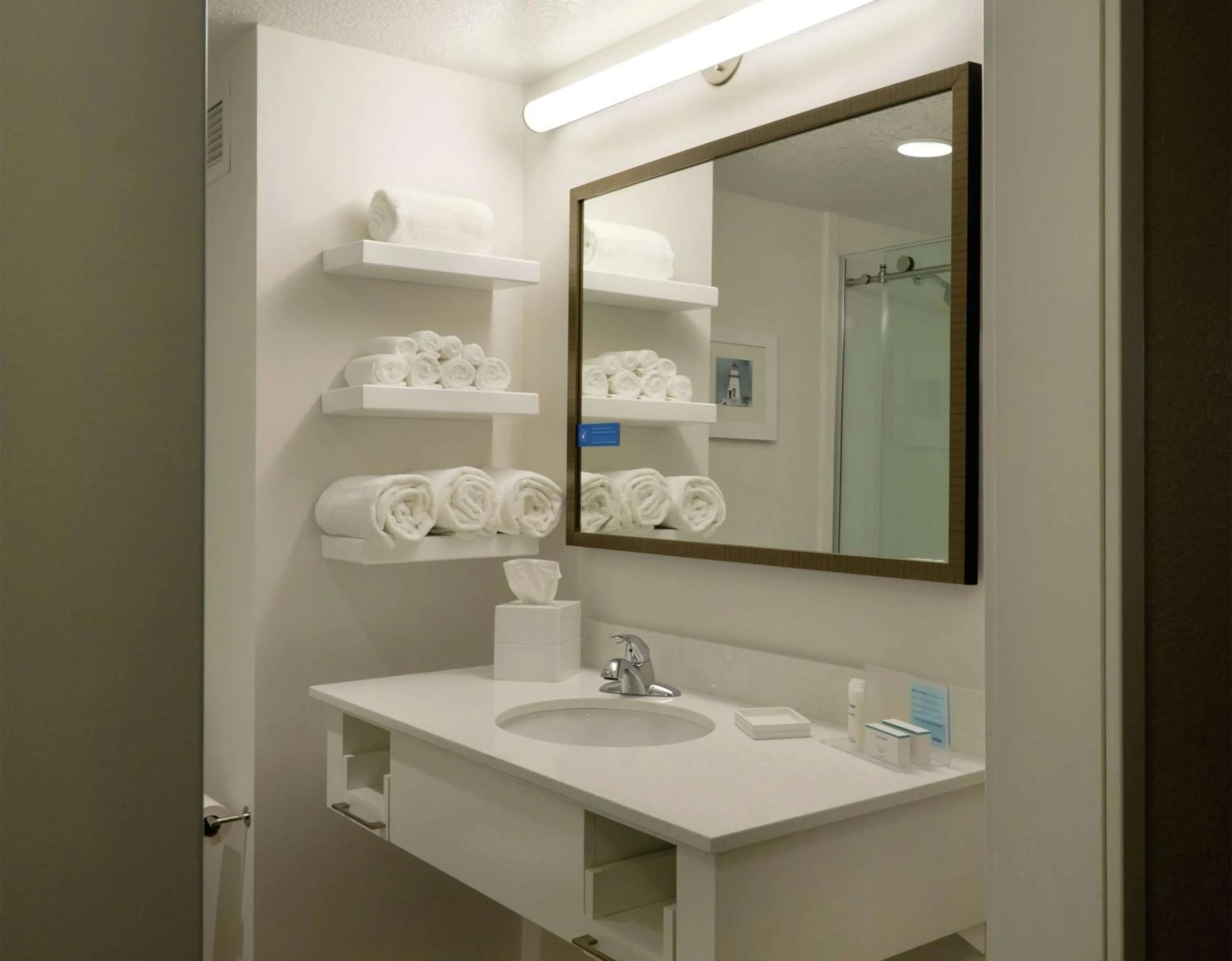 Bathroom in Hampton Inn Green Bay Downtown