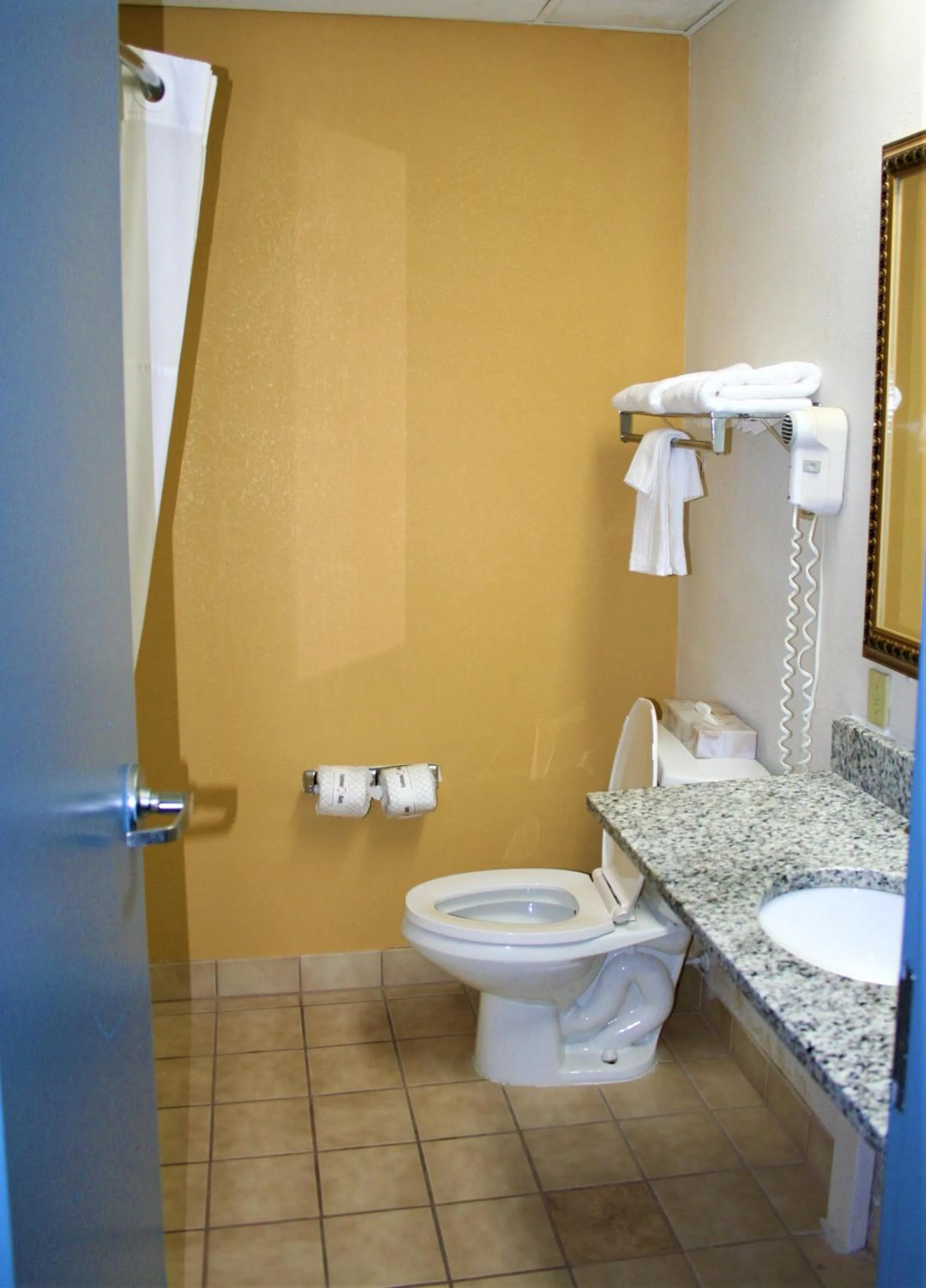 Toilet in Quality Inn & Suites Kearneysville - Martinsburg