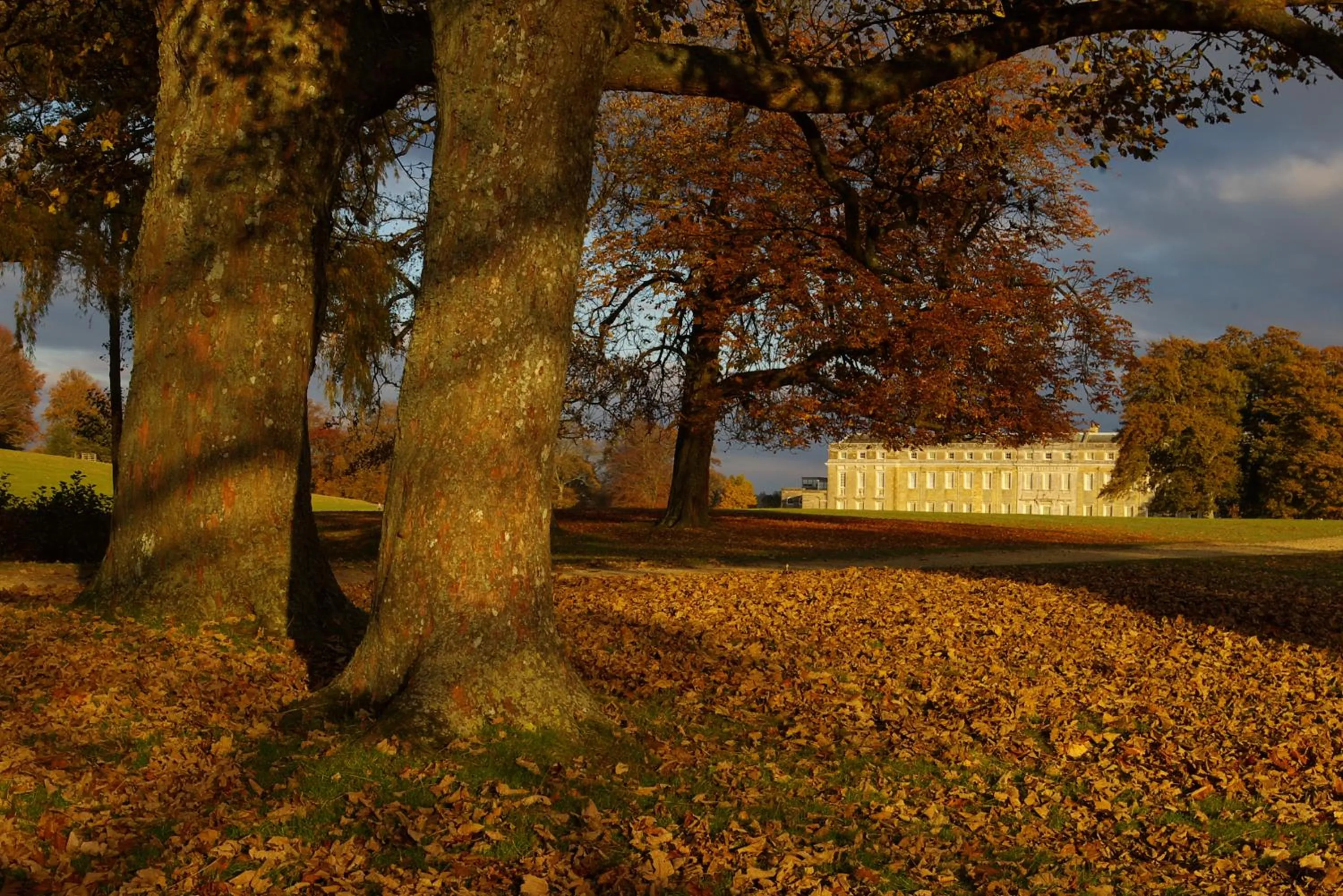 Nearby landmark in House Arundel