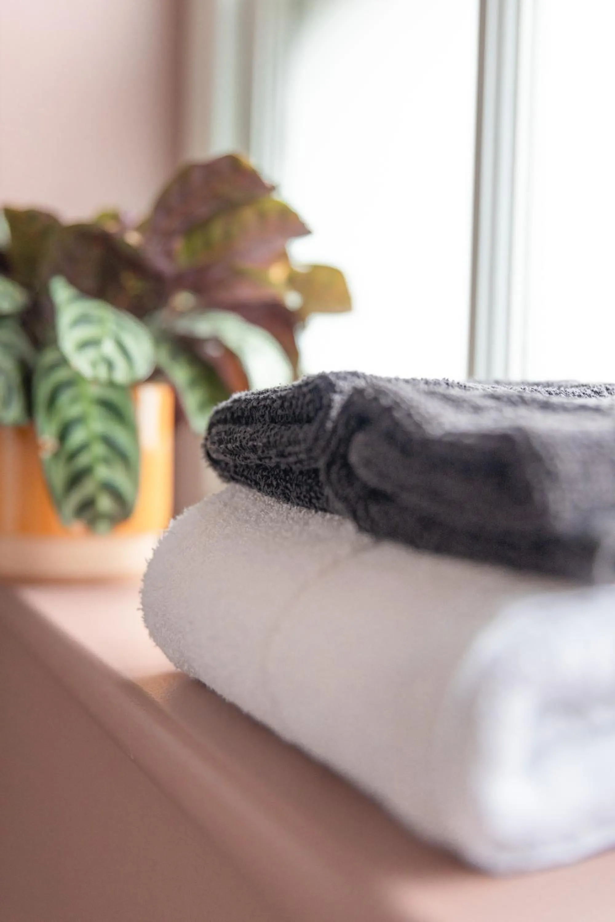 Bathroom in House Arundel