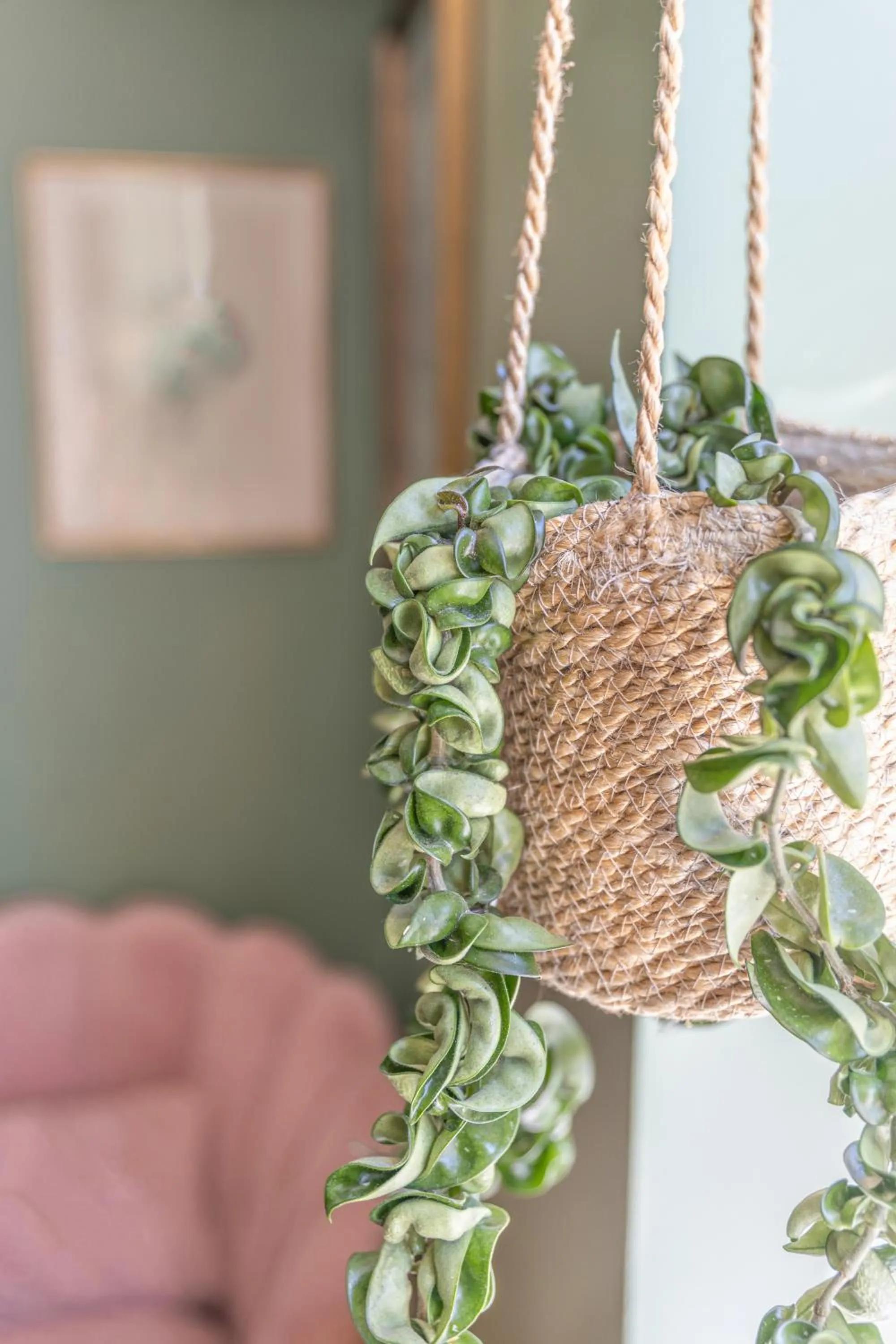 Decorative detail in House Arundel