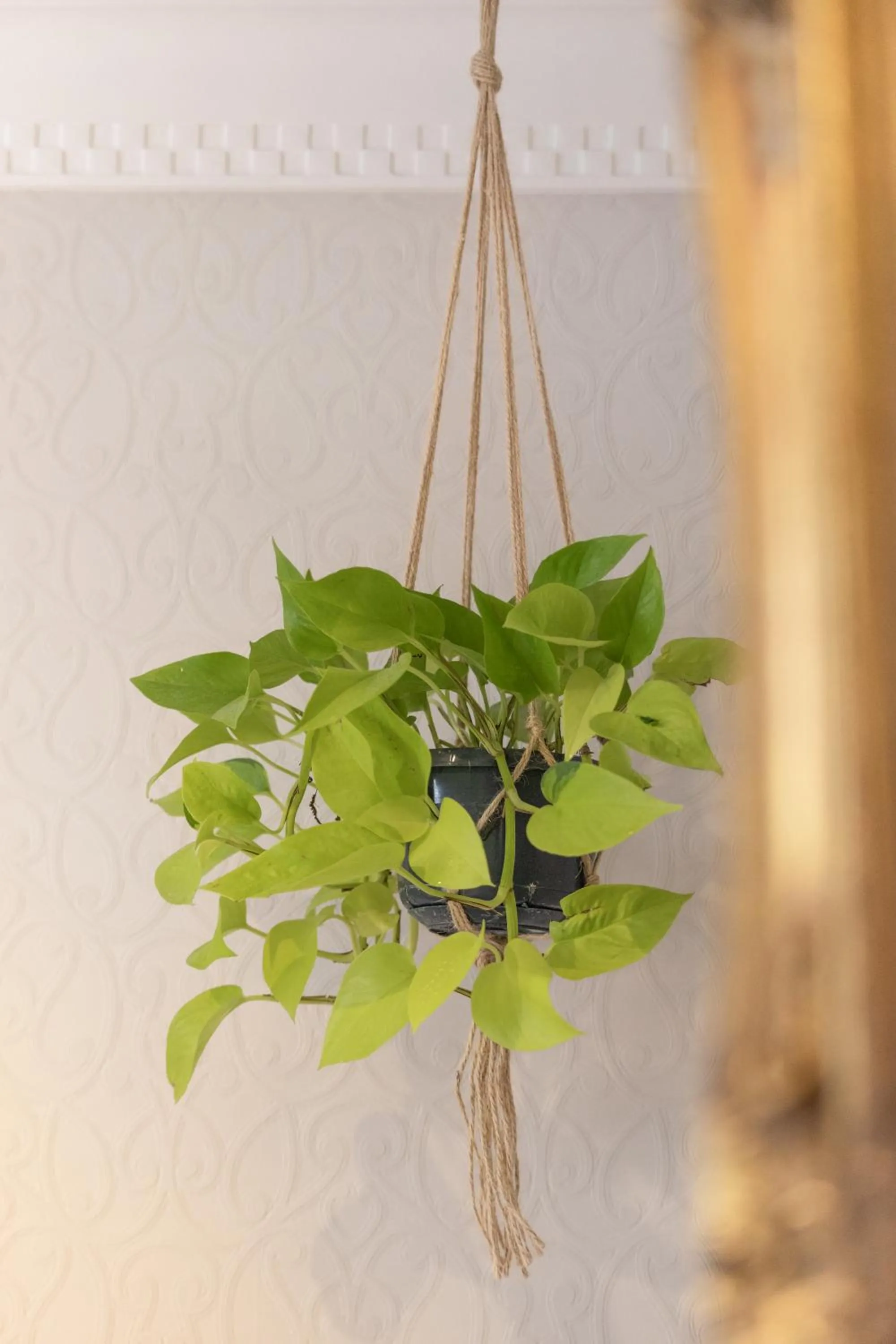 Decorative detail in House Arundel