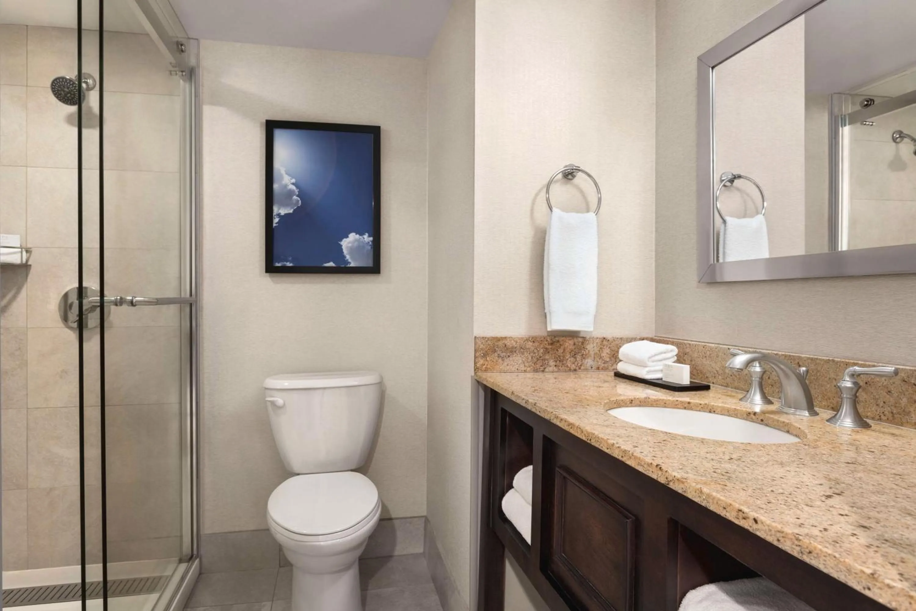 Bathroom in Embassy Suites by Hilton Kansas City Overland Park