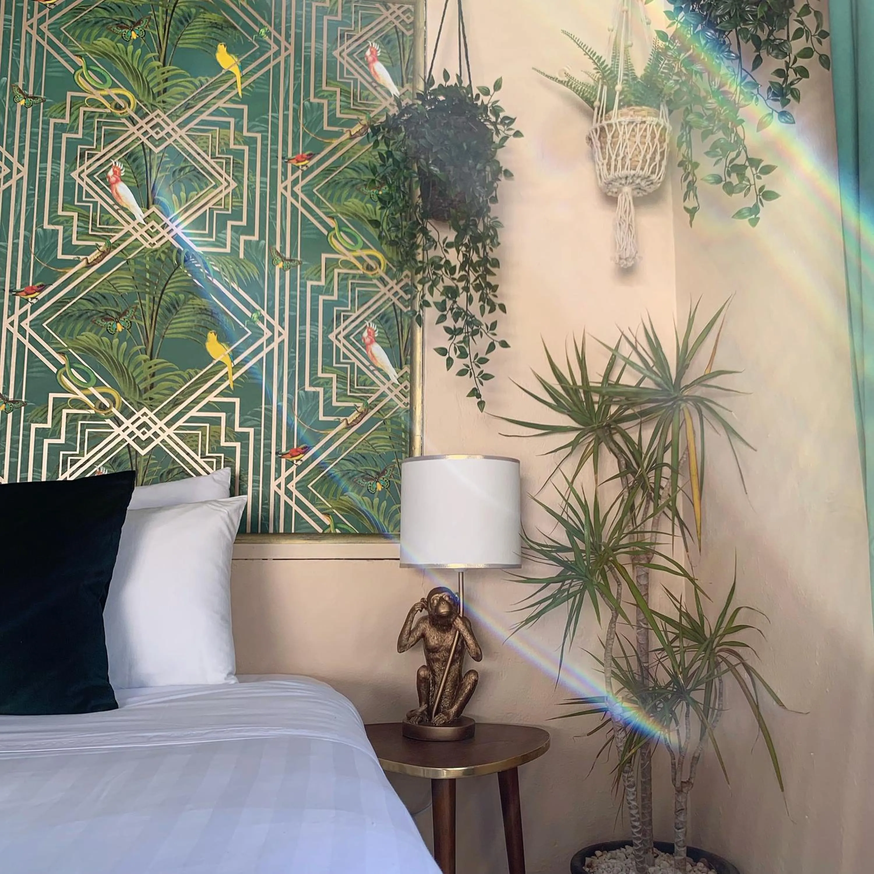 Decorative detail in Jardines De La Reina Boutique Bed & Breakfast