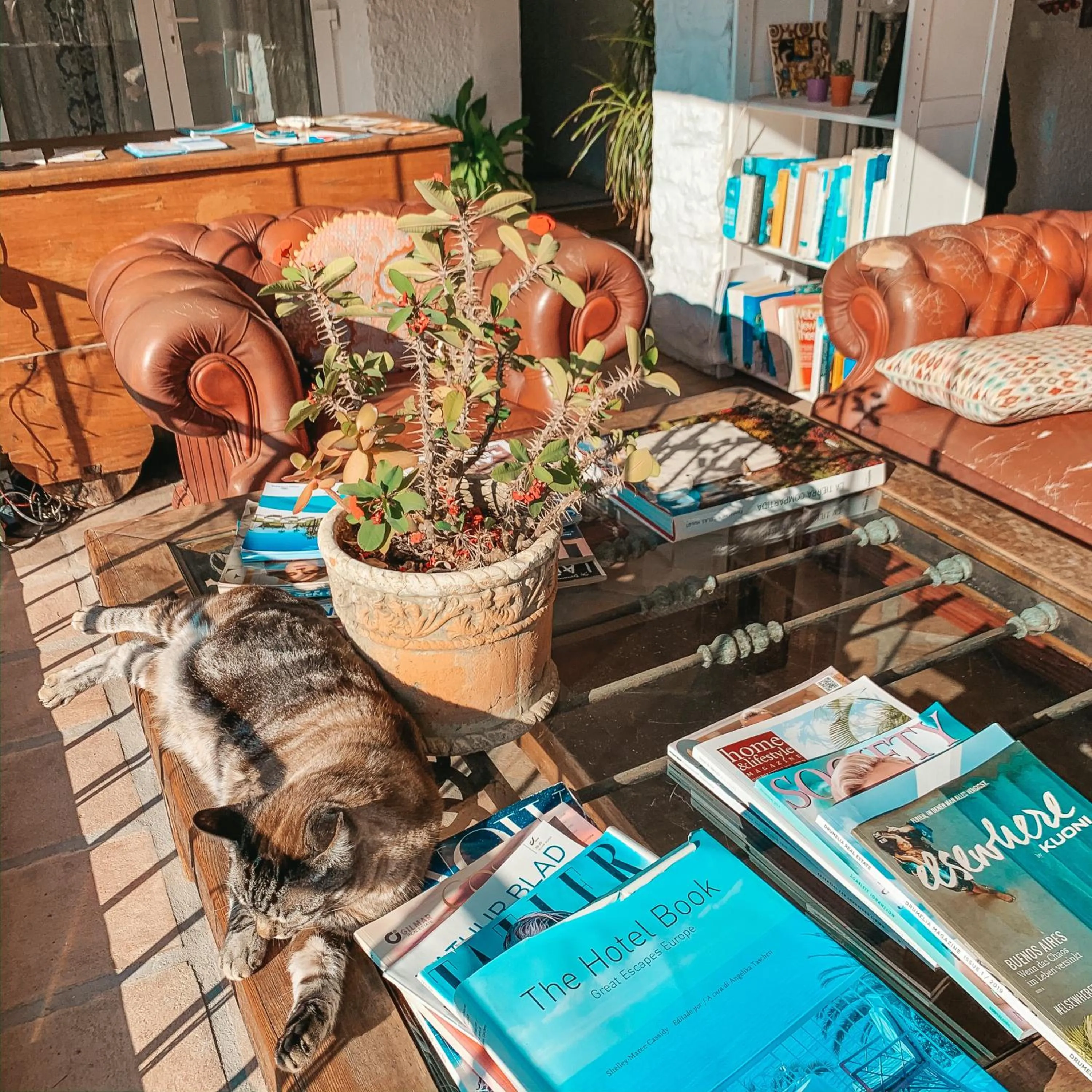 Pool View in Jardines De La Reina Boutique Bed & Breakfast
