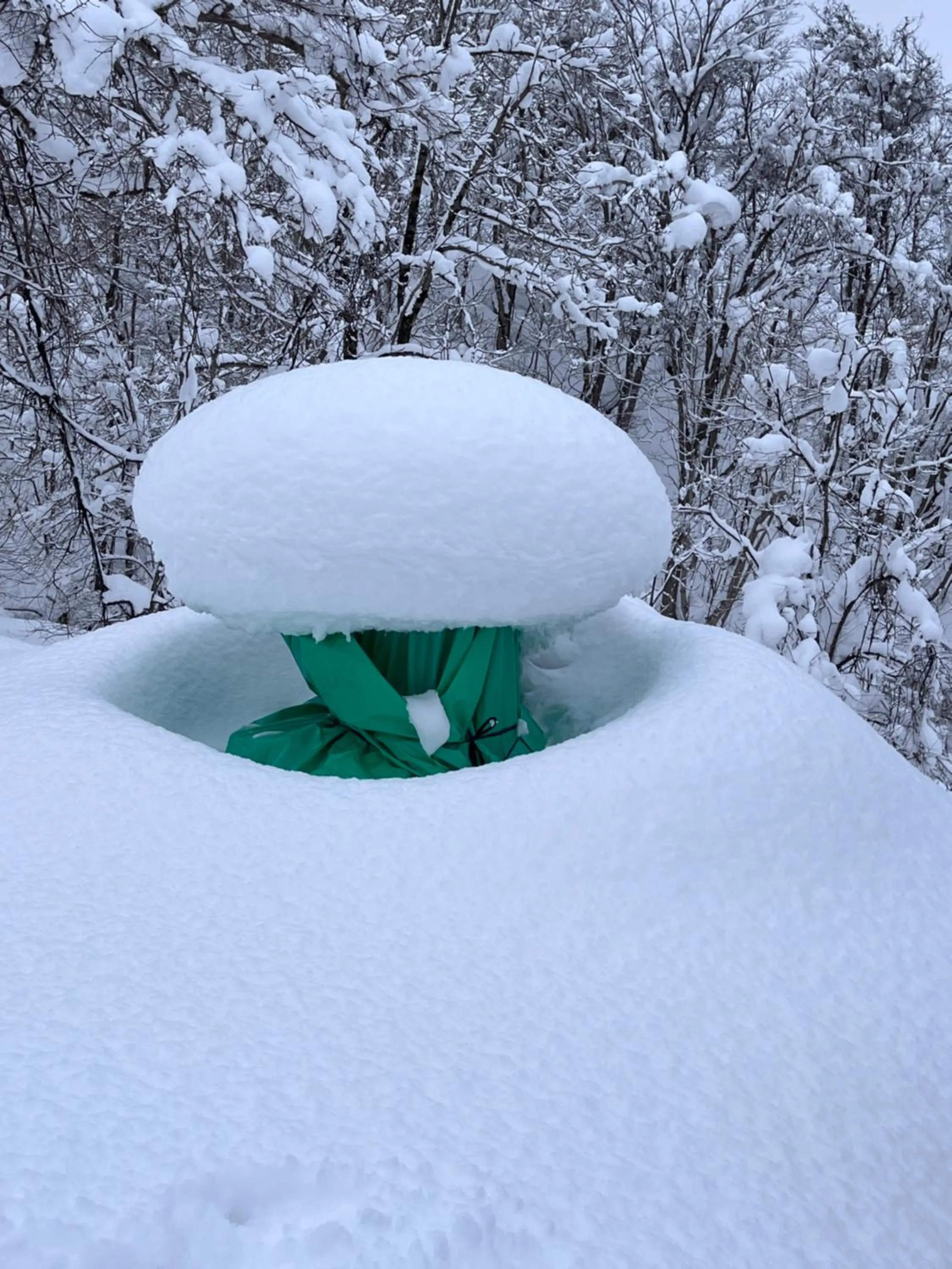 Natural landscape in Boken Kazoku