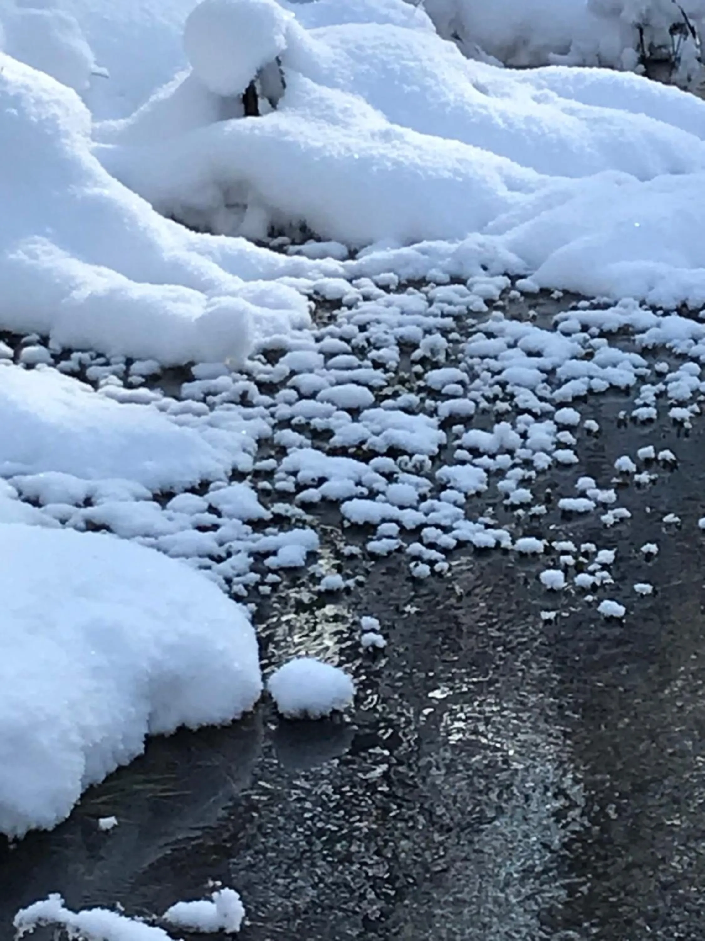 Swimming pool in Boken Kazoku