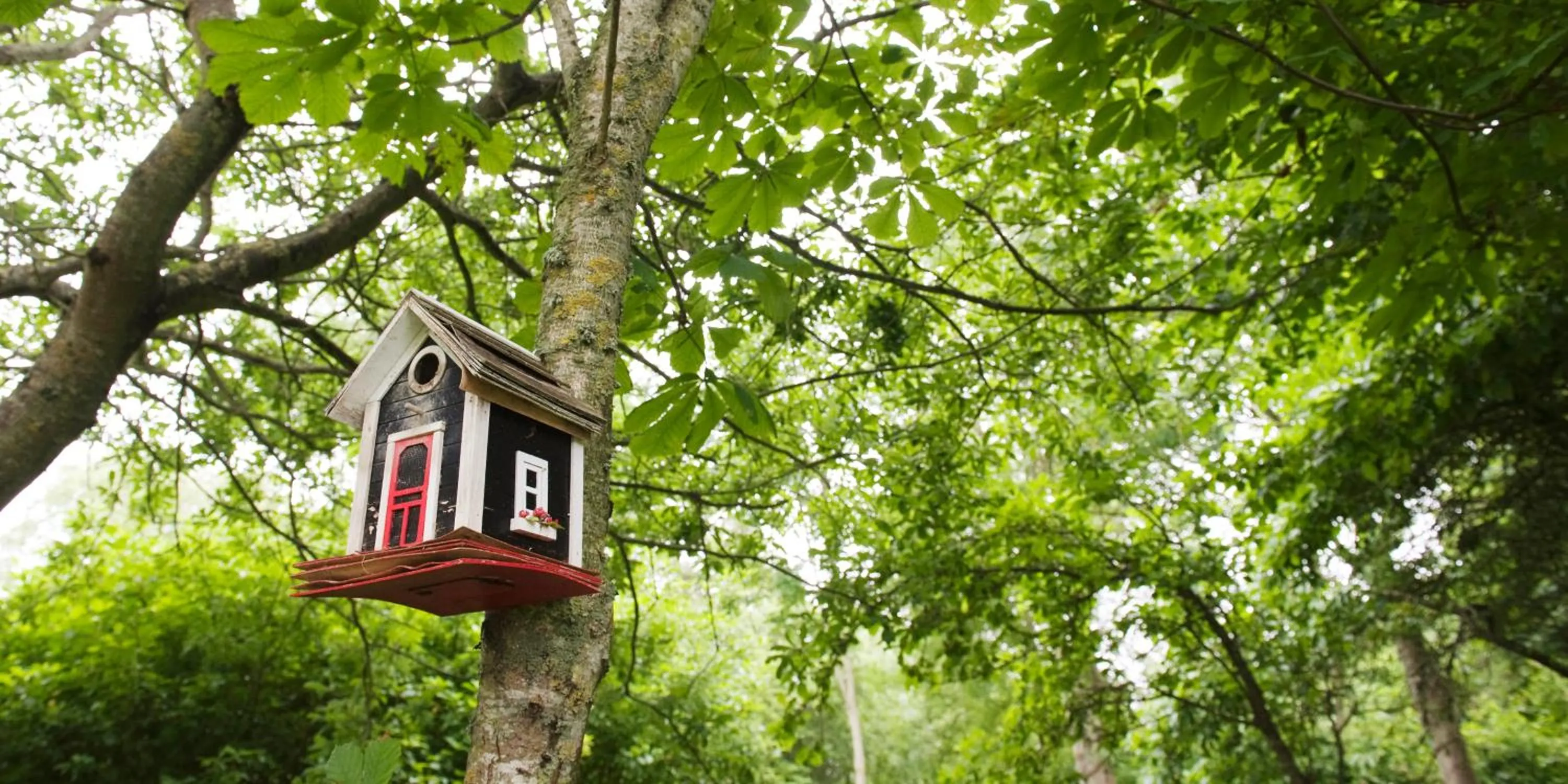 Other in Hotel, Restaurant, Café Pharisäerhof - Nordseeurlaub mit Hund