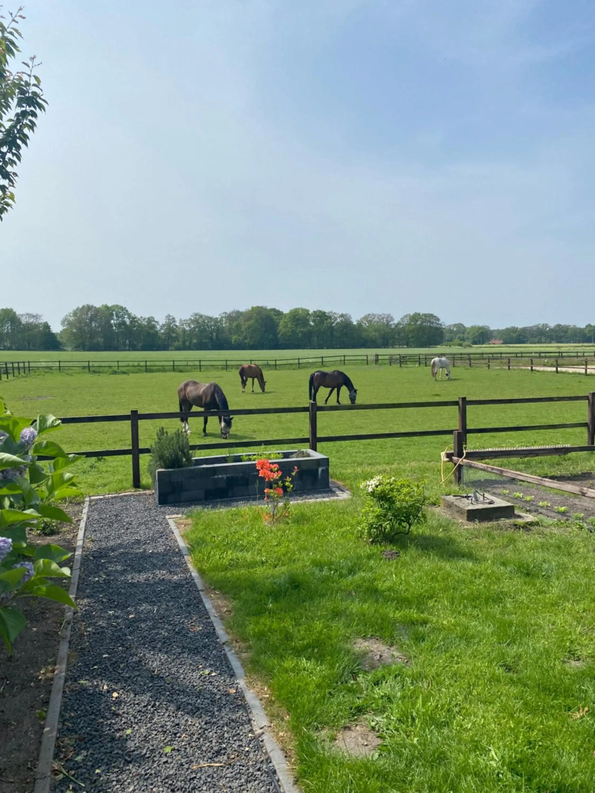 Erve Het Roolvink Boerderij Appartementen 40-50 M2