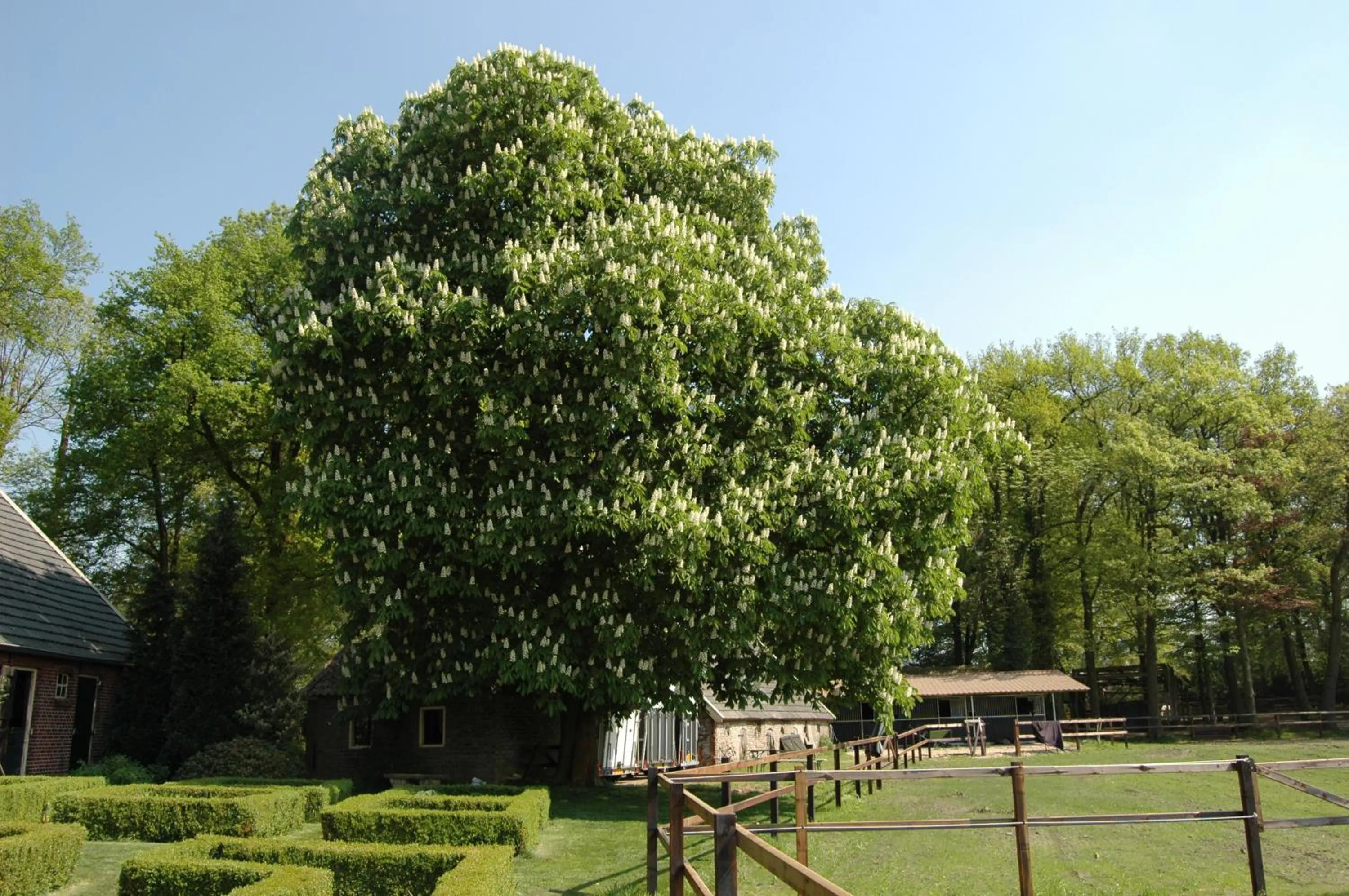 Garden in Erve Het Roolvink Boerderij Appartementen 40-50 M2