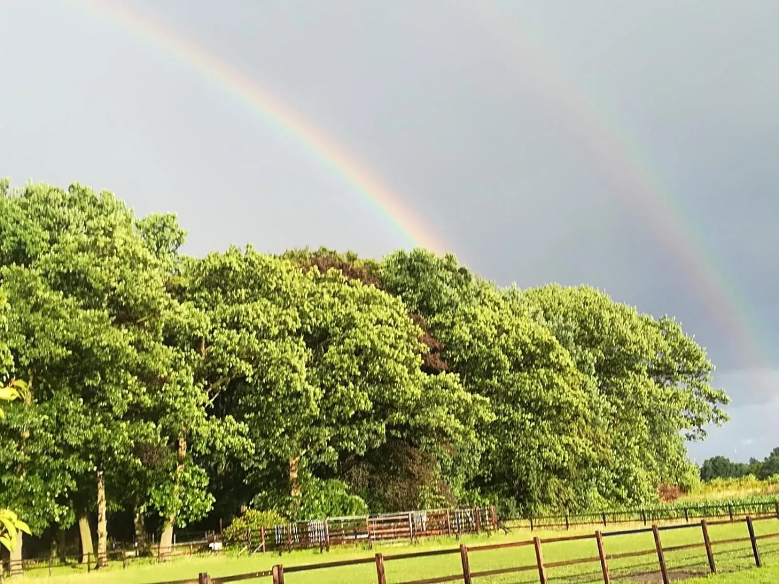 Natural landscape in Erve Het Roolvink Boerderij Appartementen 40-50 M2