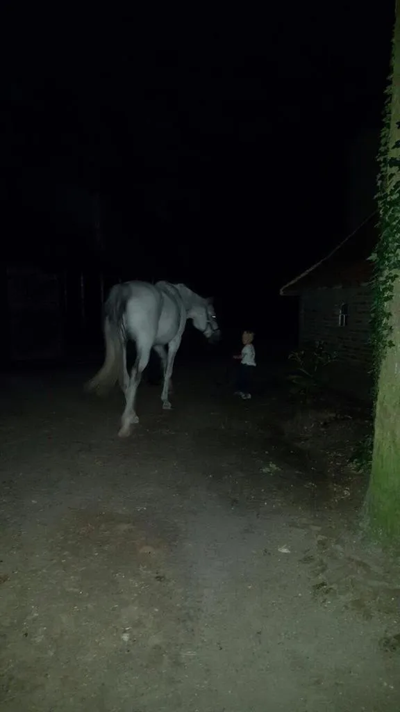 Erve Het Roolvink Boerderij Appartementen 40-50 M2