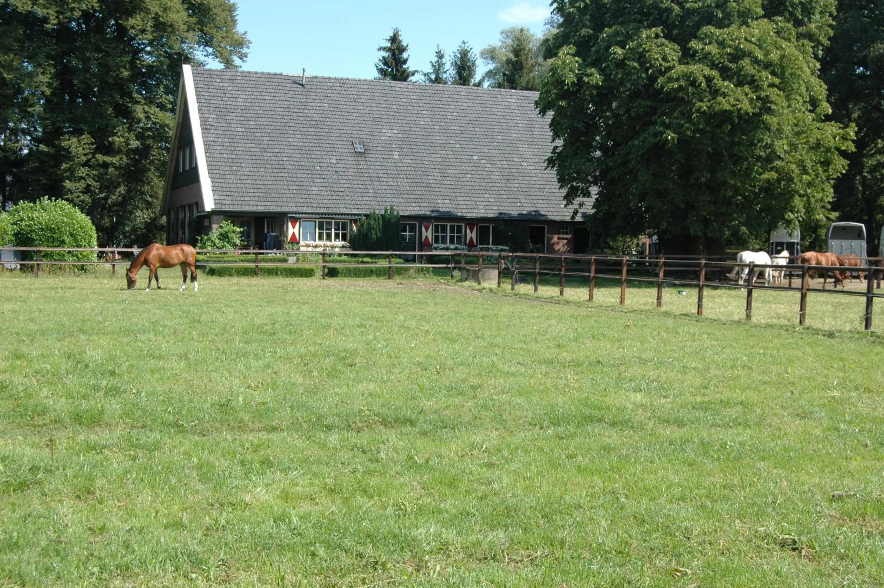 Animals in Erve Het Roolvink Boerderij Appartementen 40-50 M2