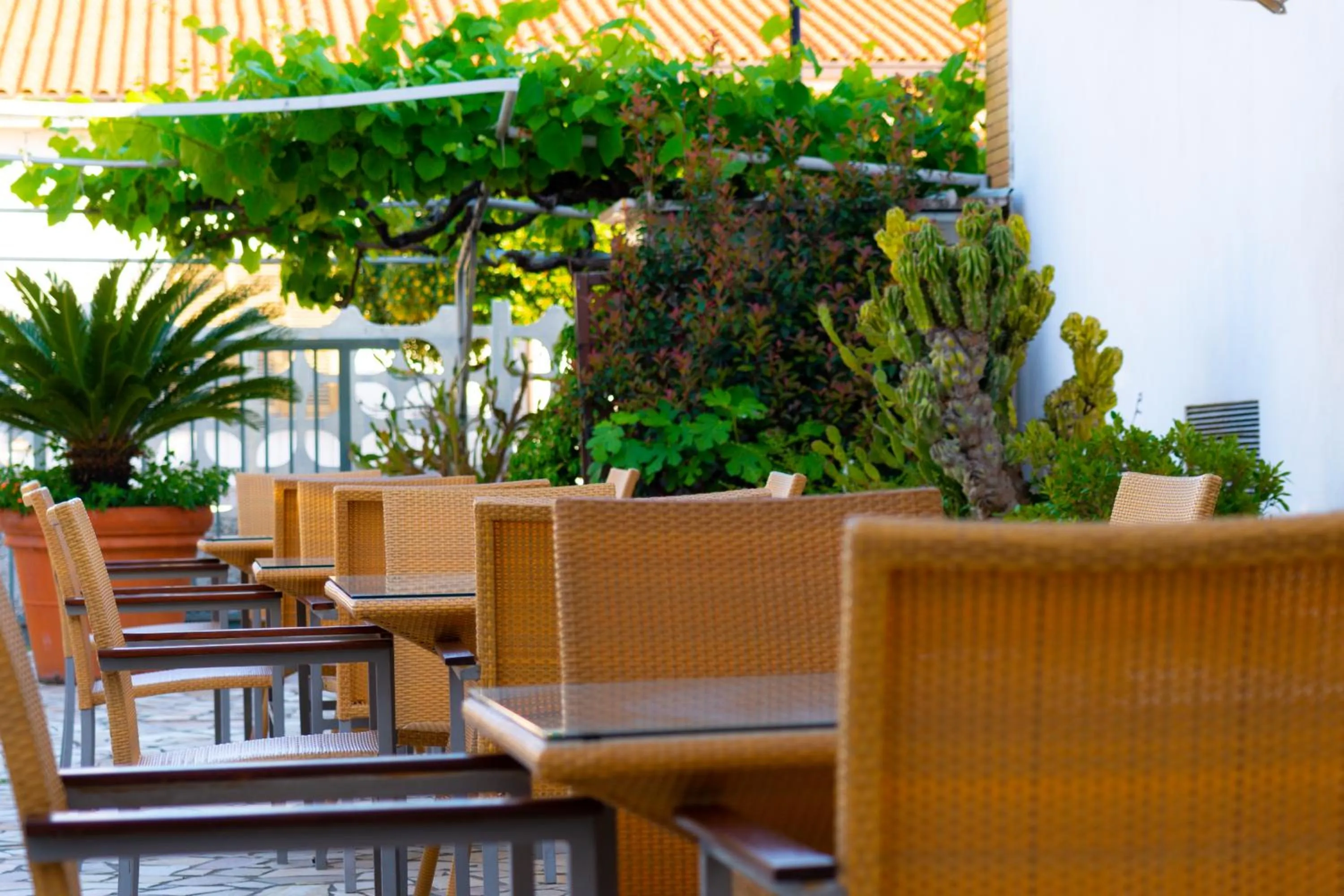 Facade/entrance in Hotel Garden