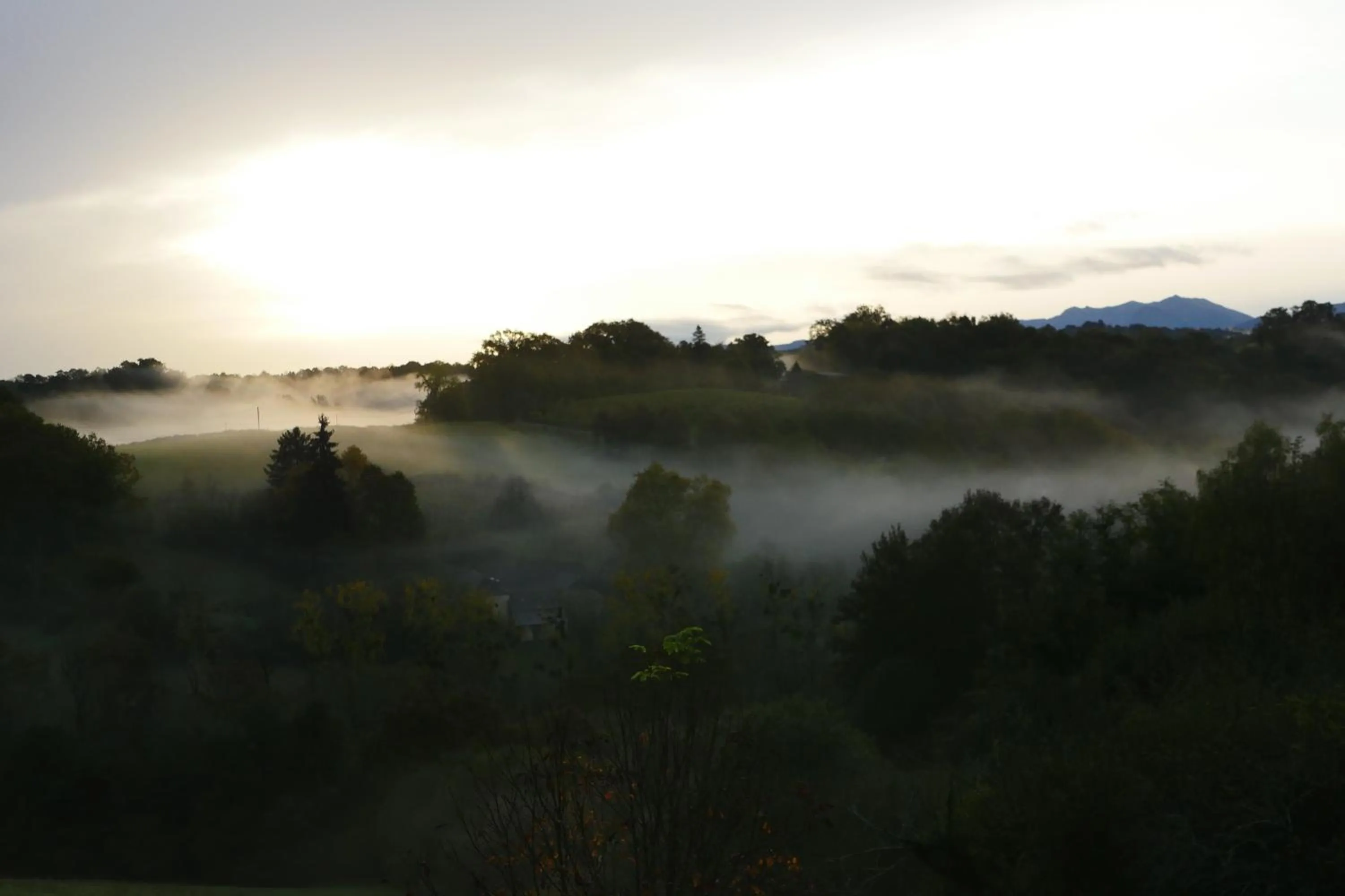 Natural landscape in Chambres d'Hôtes Secret Pyrenées