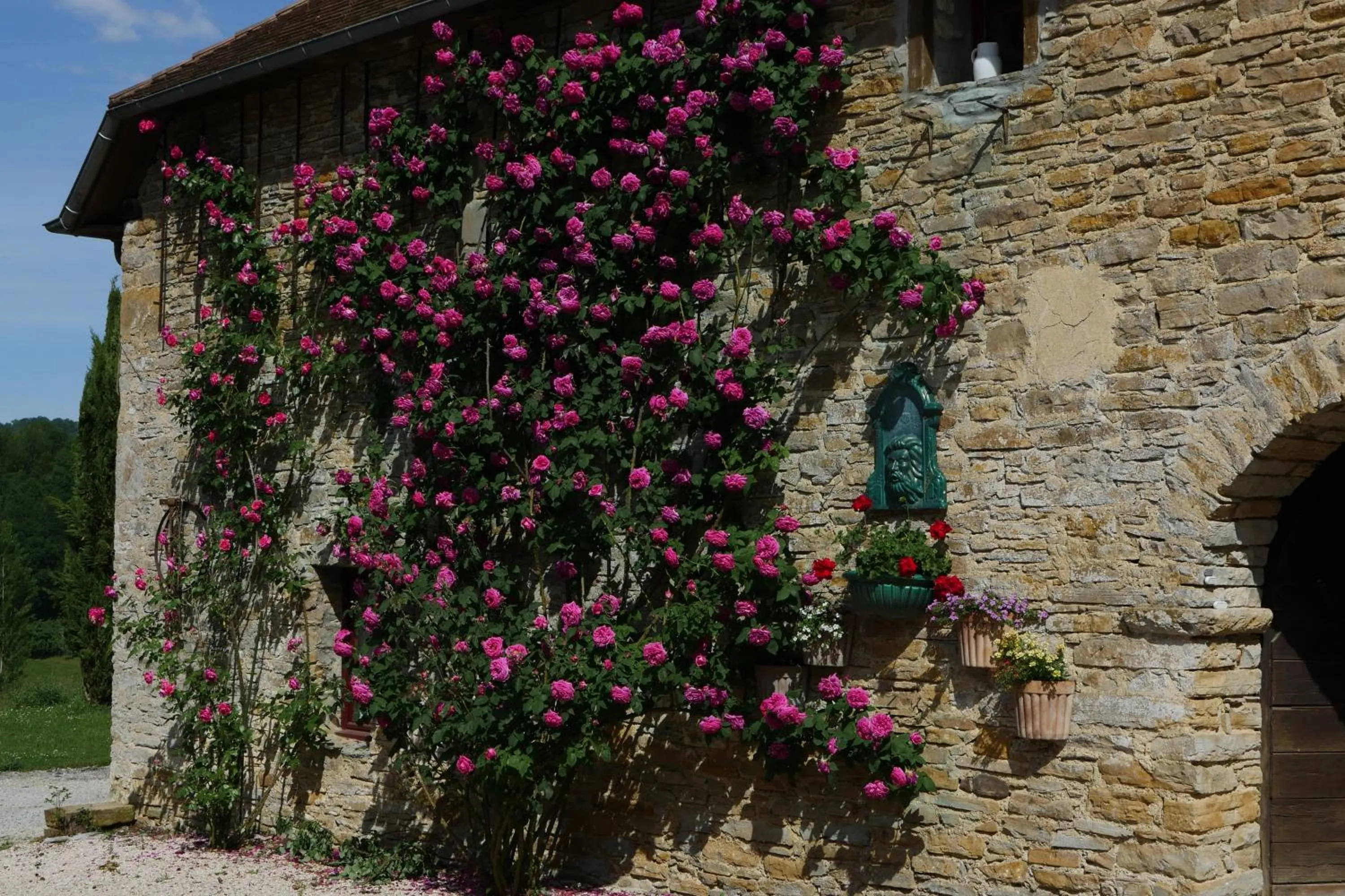 Property building in Chambres d'Hôtes Secret Pyrenées