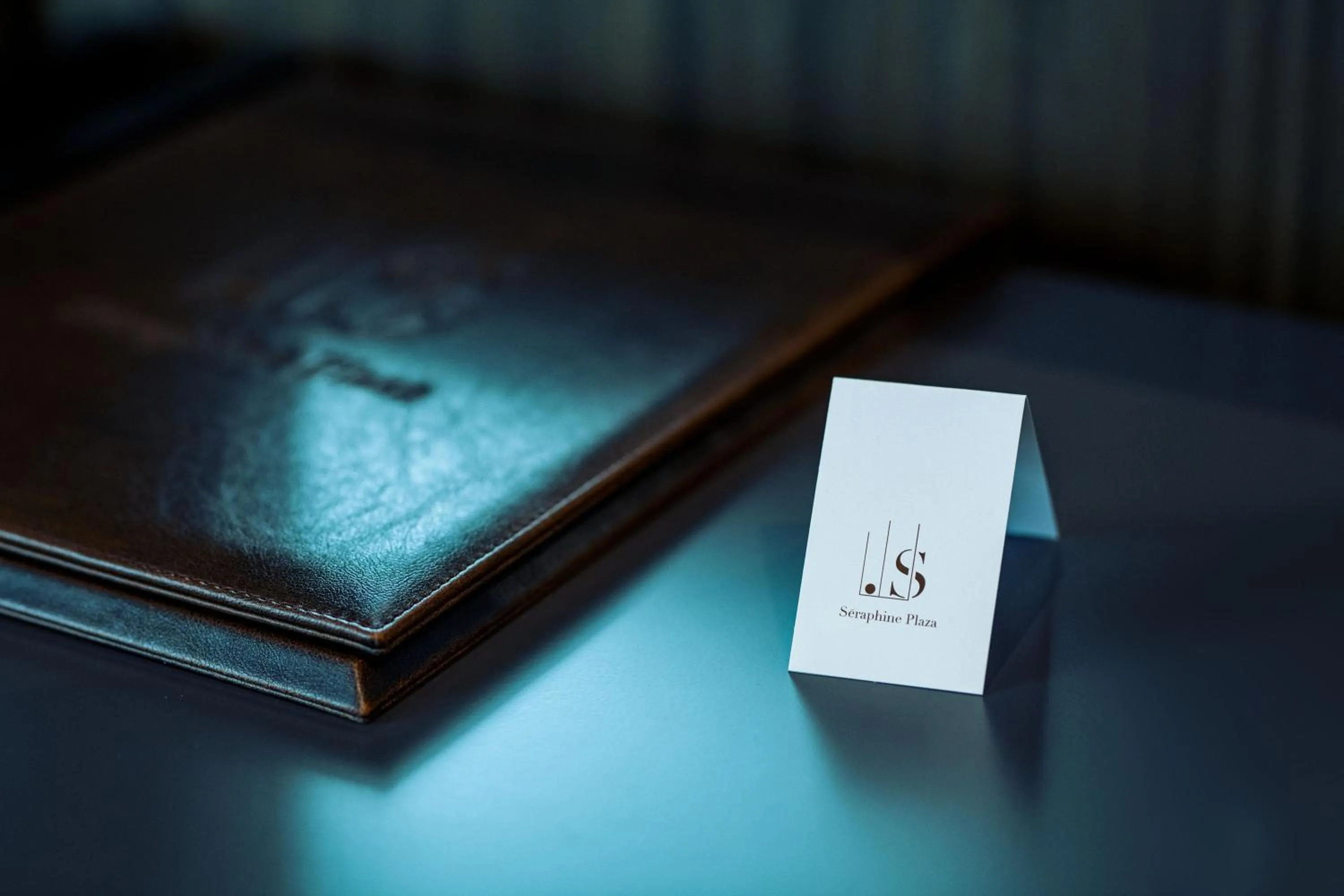 Property logo or sign in Seraphine Plaza