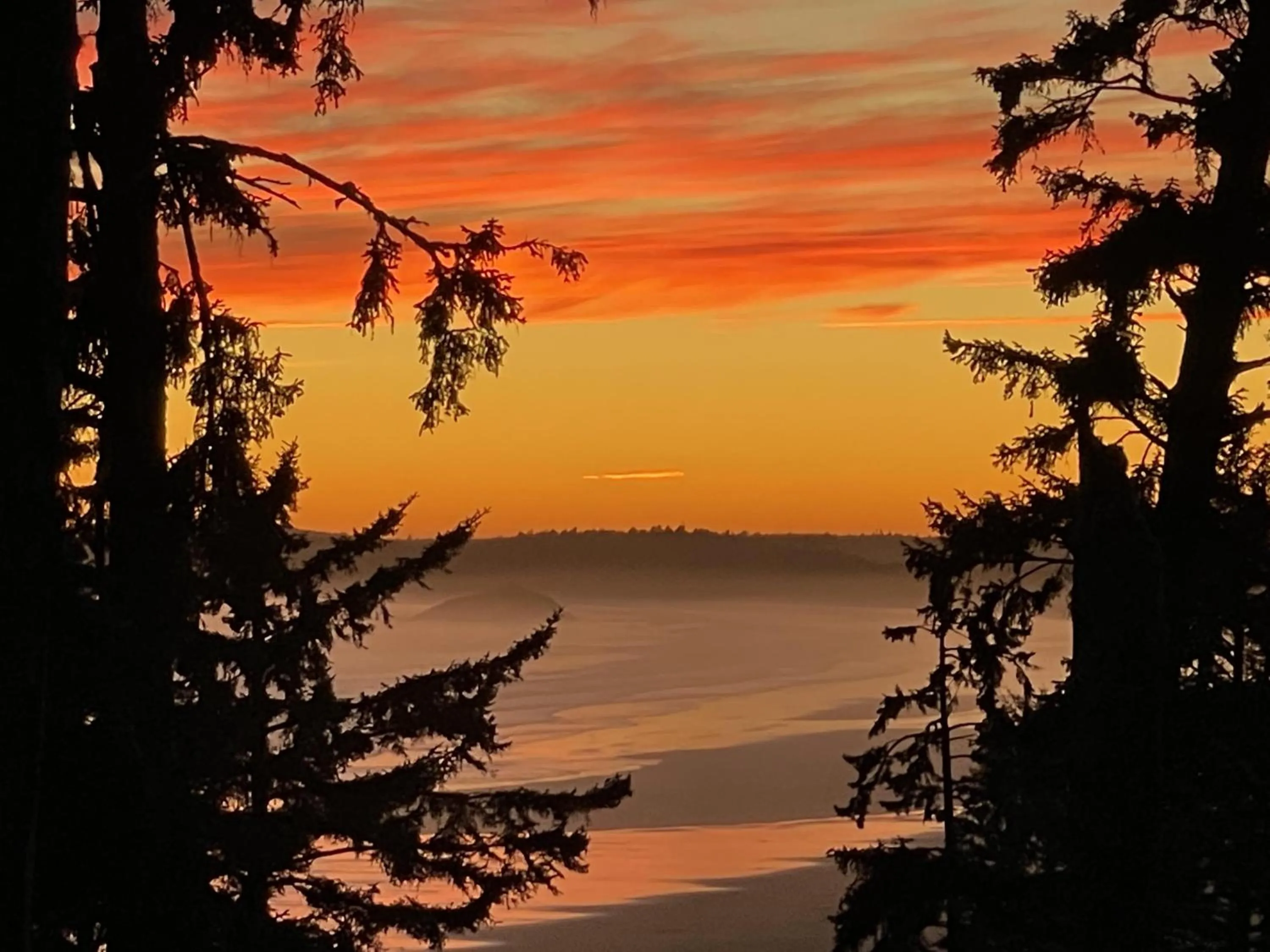 Property building in Great Cabin In Close To Walking Trails And Beaches - 13T