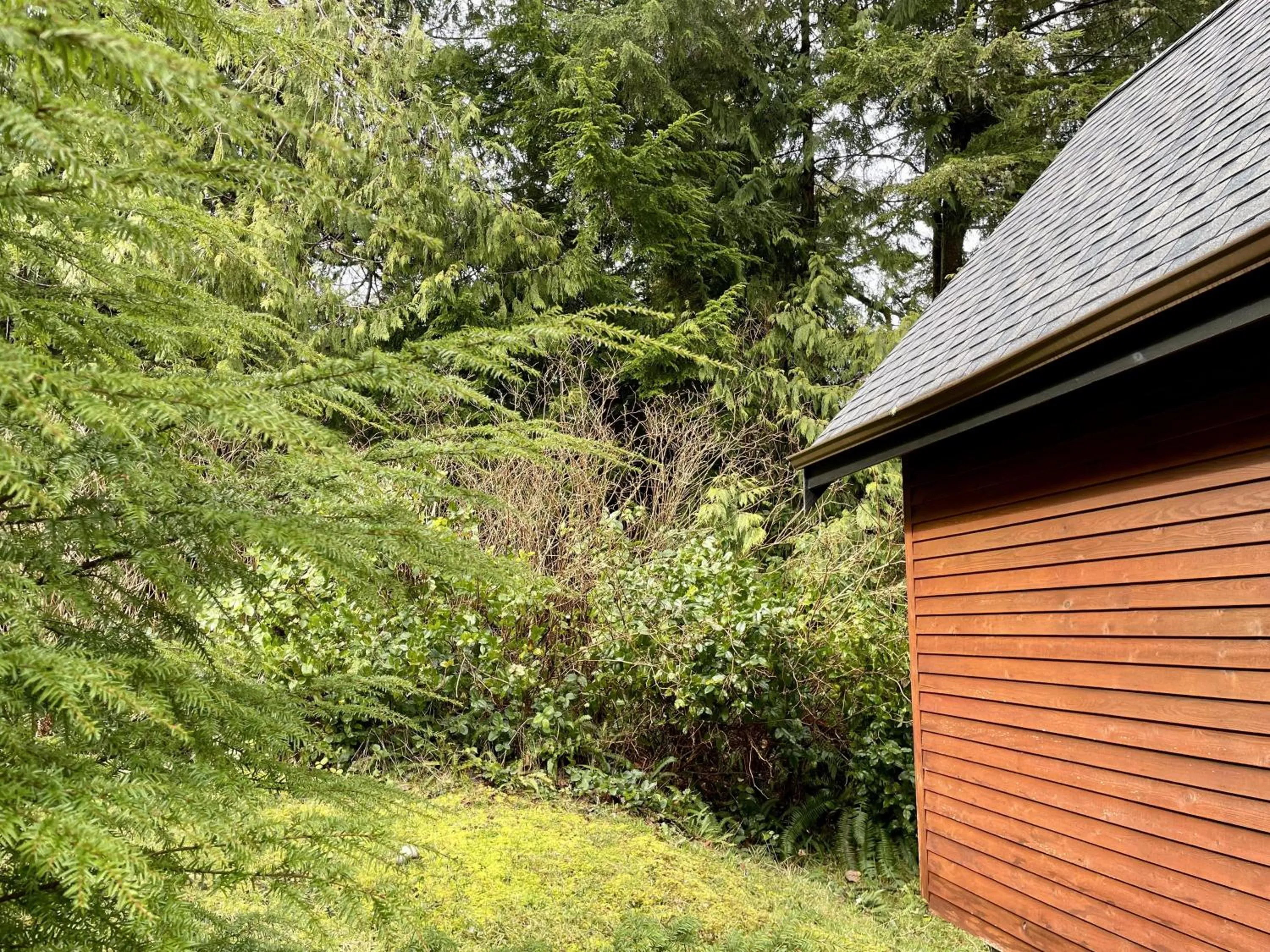 Property building in Great Cabin In Close To Walking Trails And Beaches - 13T