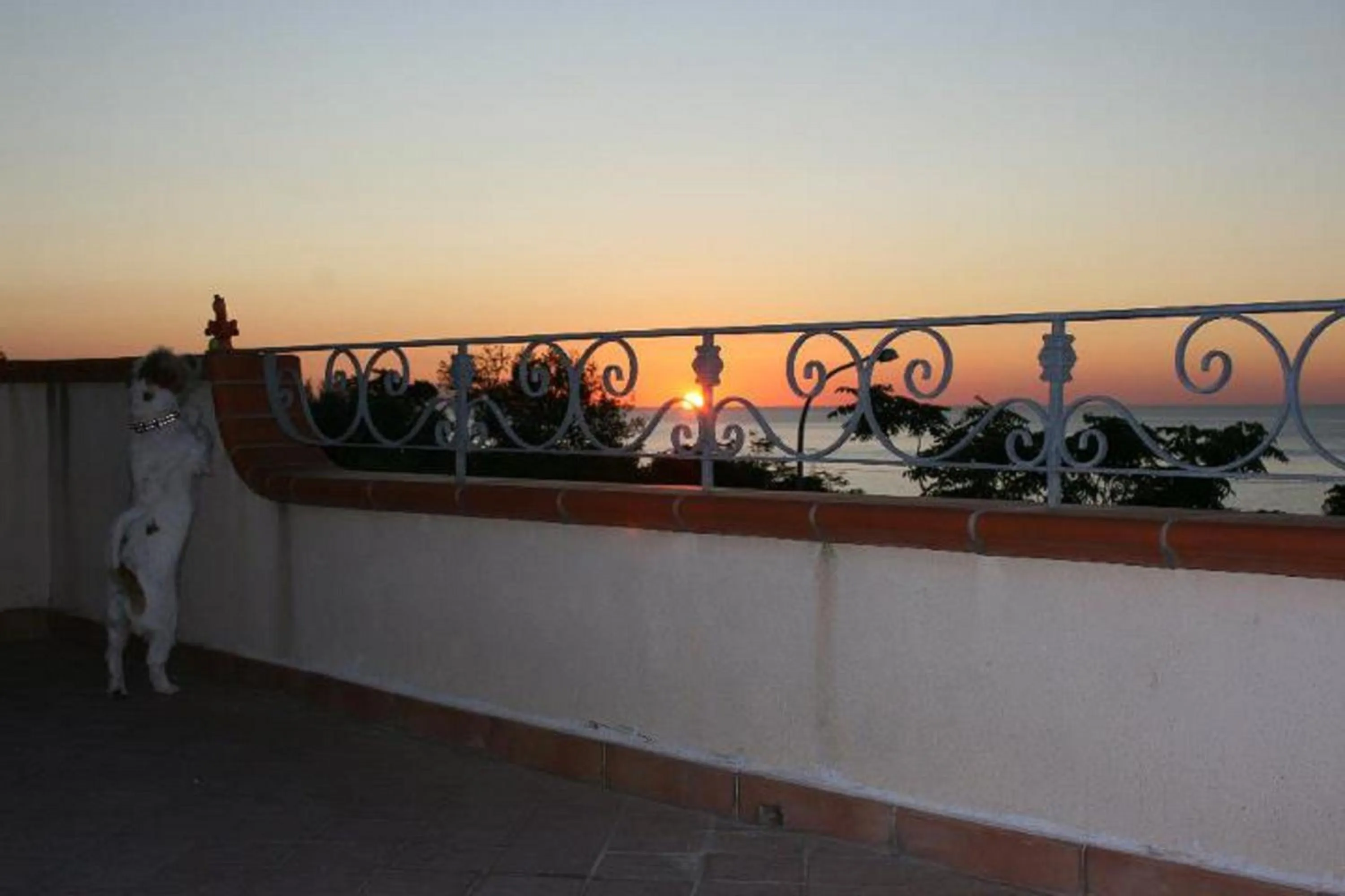 Balcony/Terrace in Appartamenti Pousada Michelino