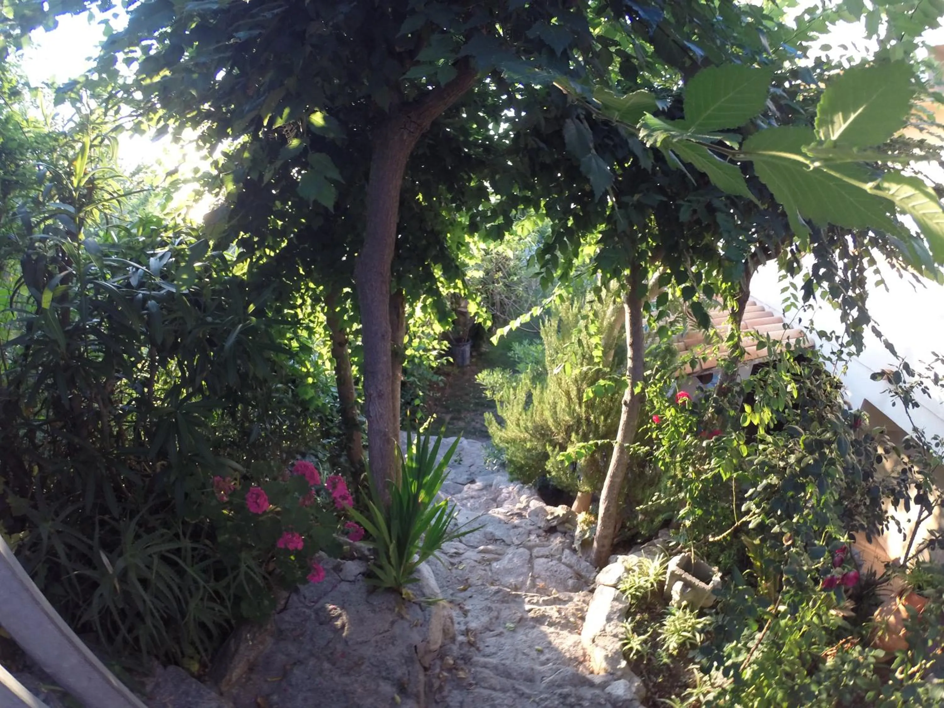 Garden in Appartamenti Pousada Michelino