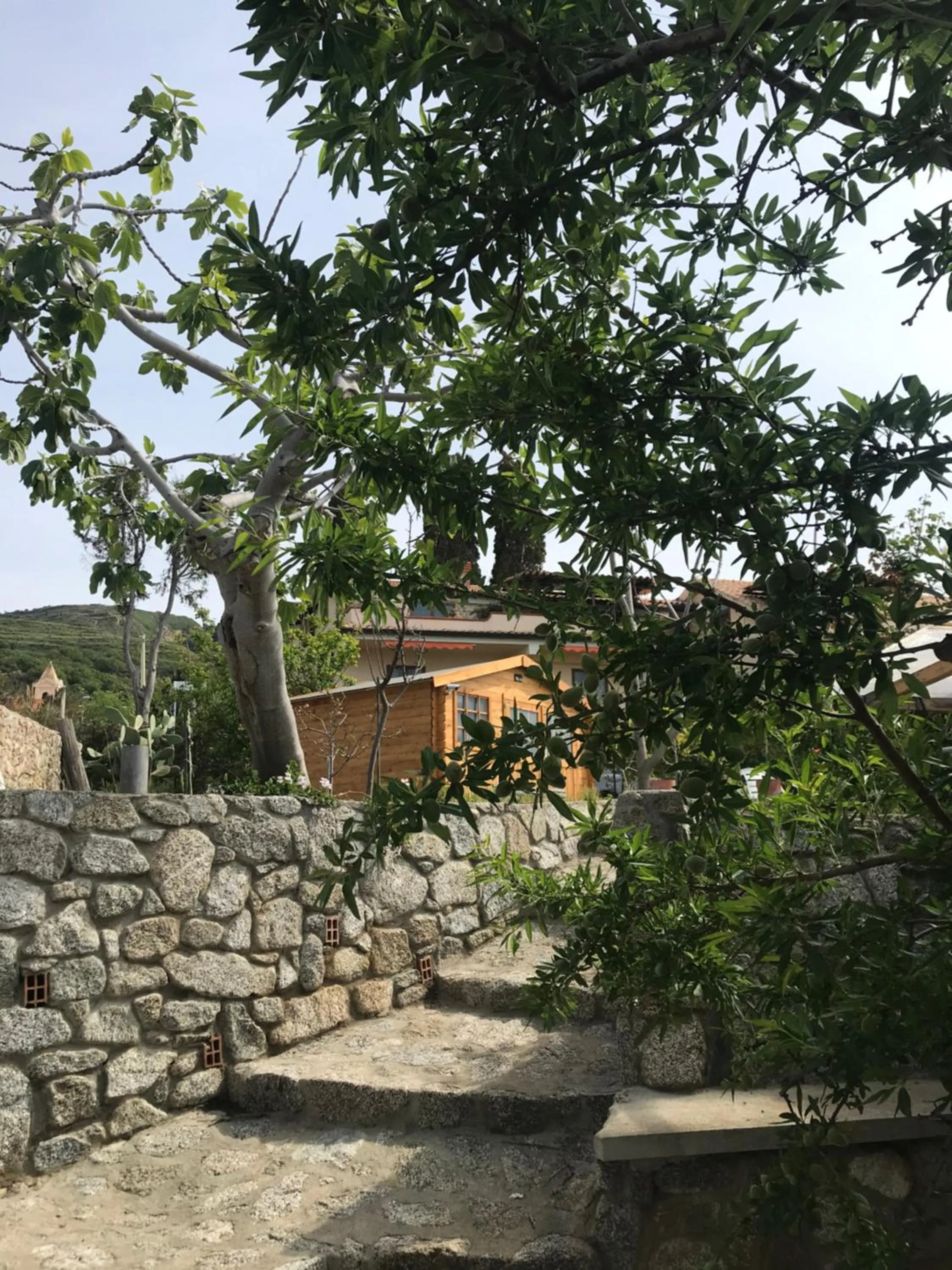 Garden in Appartamenti Pousada Michelino