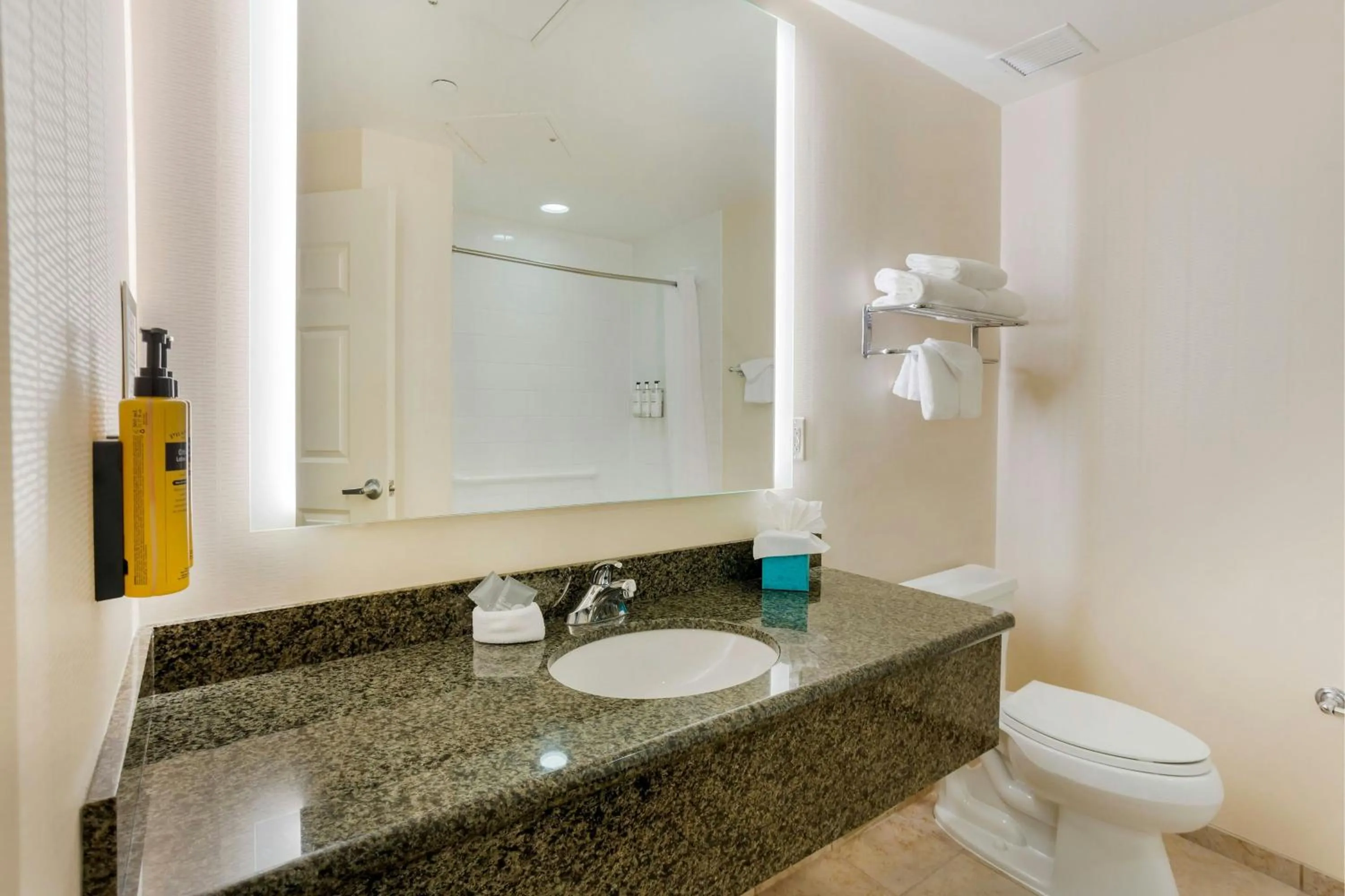 Bathroom in The Prussia Hotel