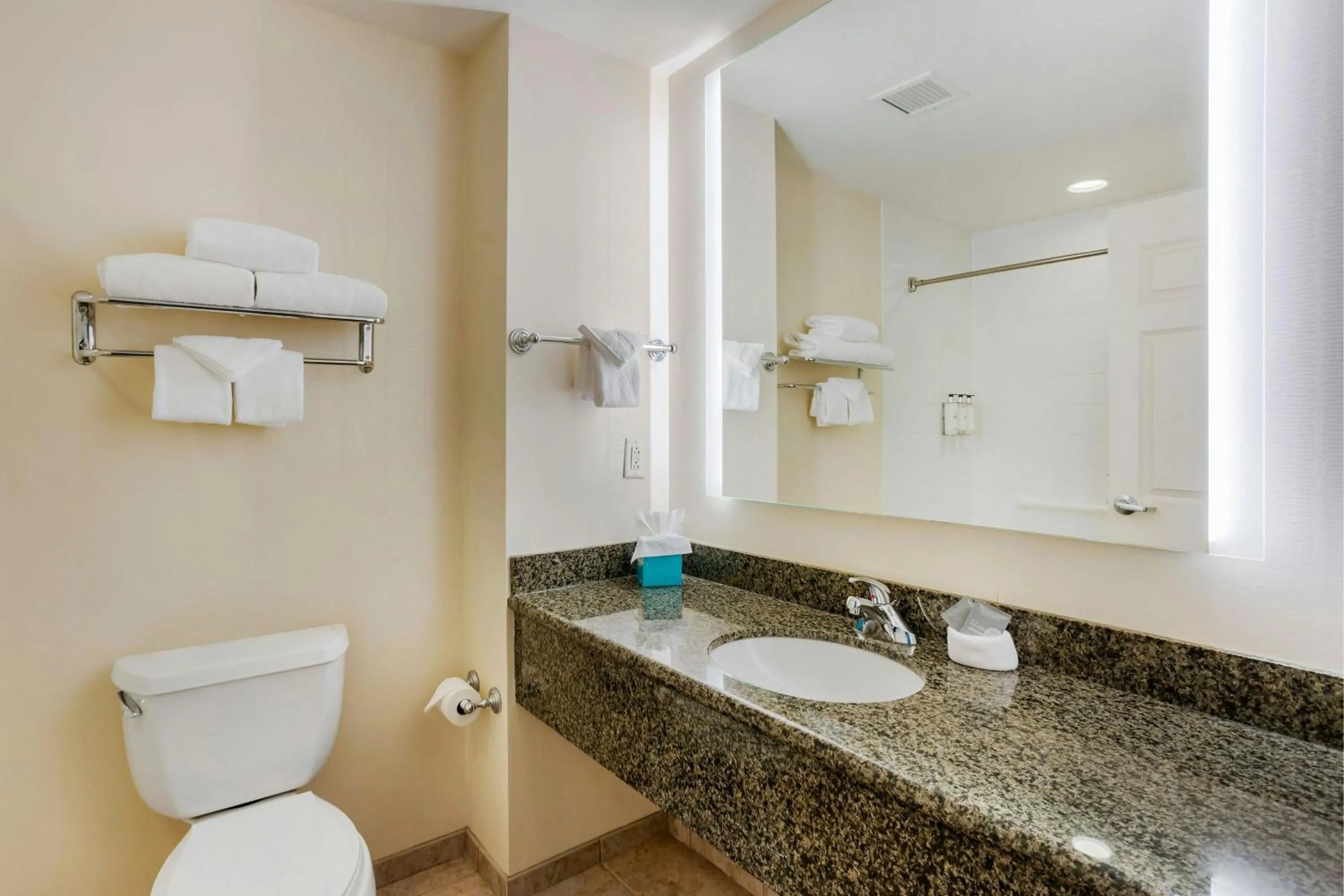 Bathroom in The Prussia Hotel