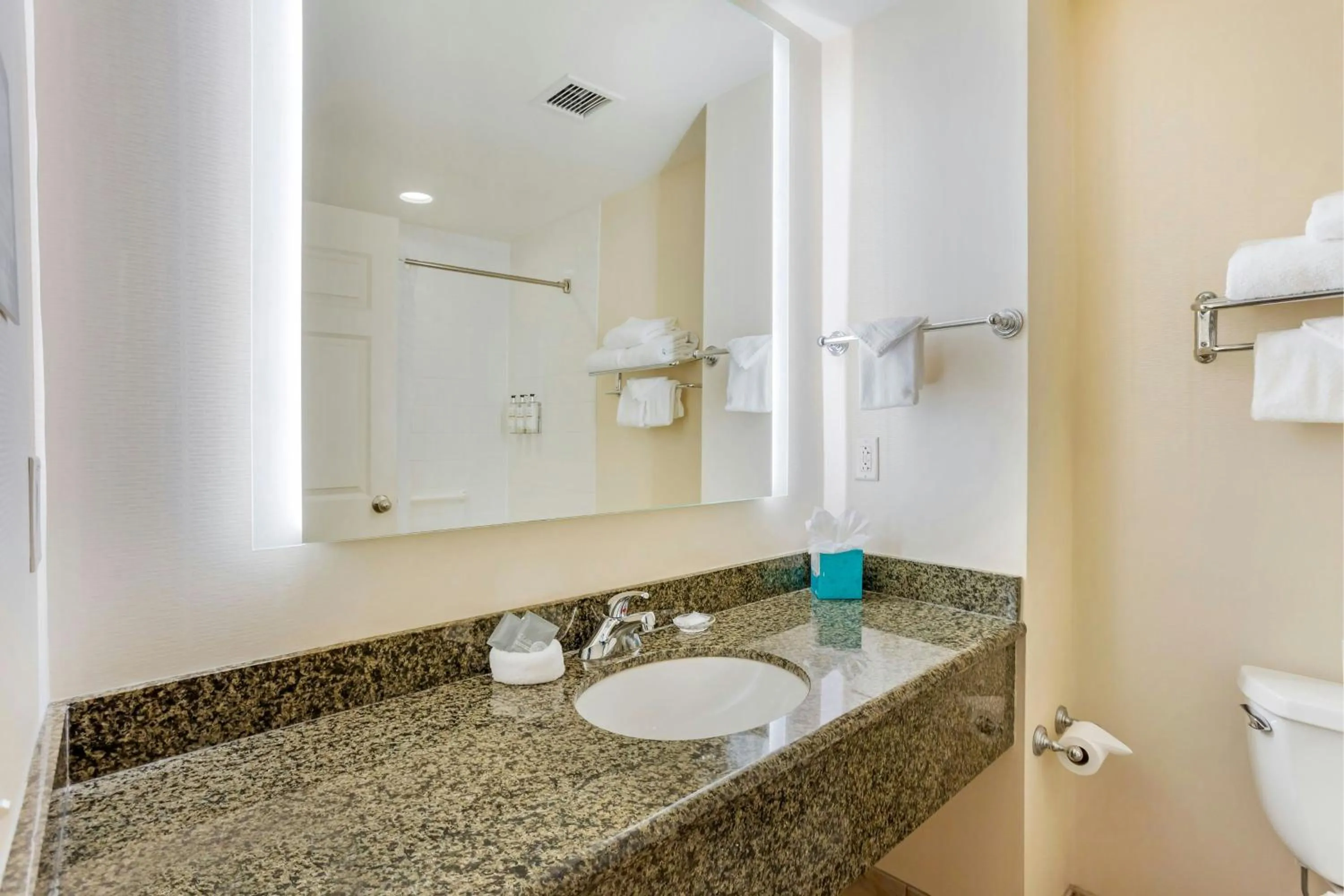 Bathroom in The Prussia Hotel