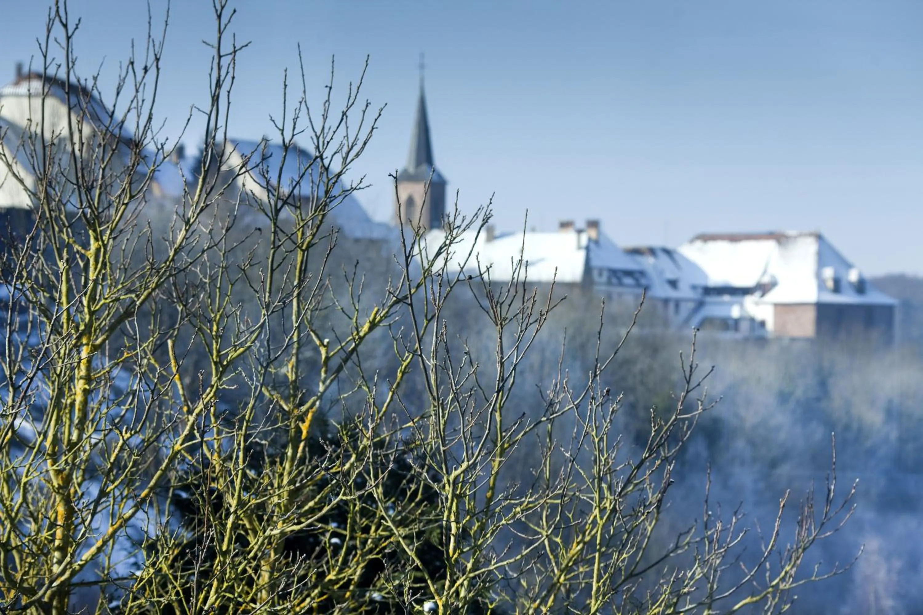 Area and facilities in Spa Hôtel Restaurant Au Lion d'Or