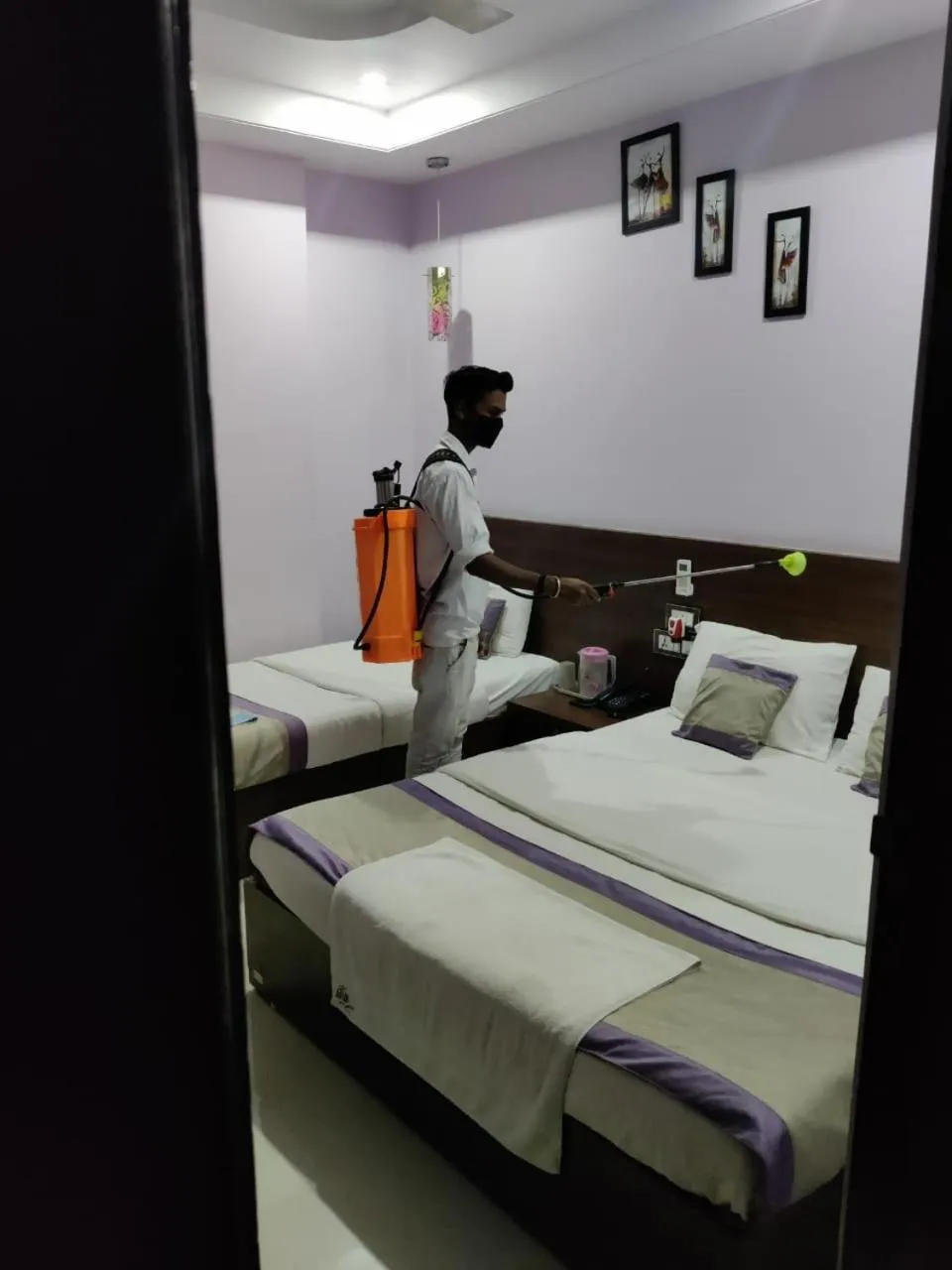 Animals, Bed in Hotel Sai Guest House