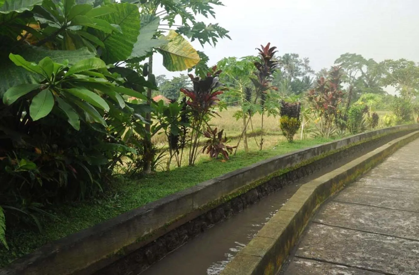 Natural landscape in Candra Asri Bungalow! Free Early Check In!