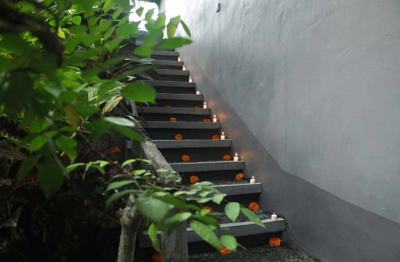 Property building in Candra Asri Bungalow! Free Early Check In!