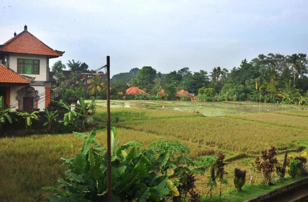 Natural landscape in Candra Asri Bungalow! Free Early Check In!